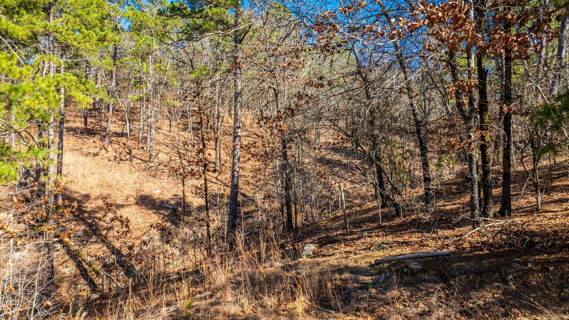 14000 Mountain River Drive Property Photo 10