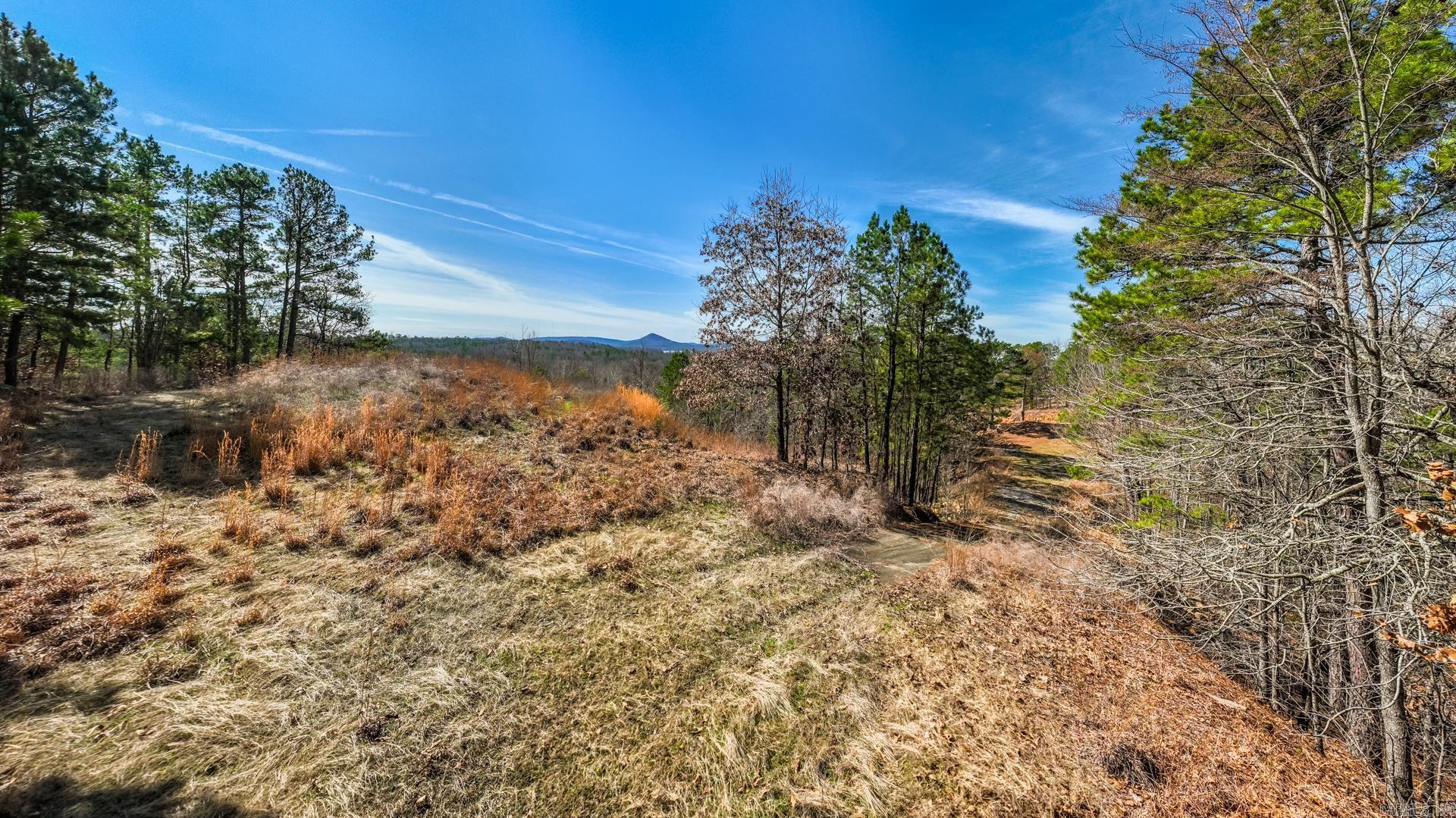 14000 Mountain River Drive Property Photo 11
