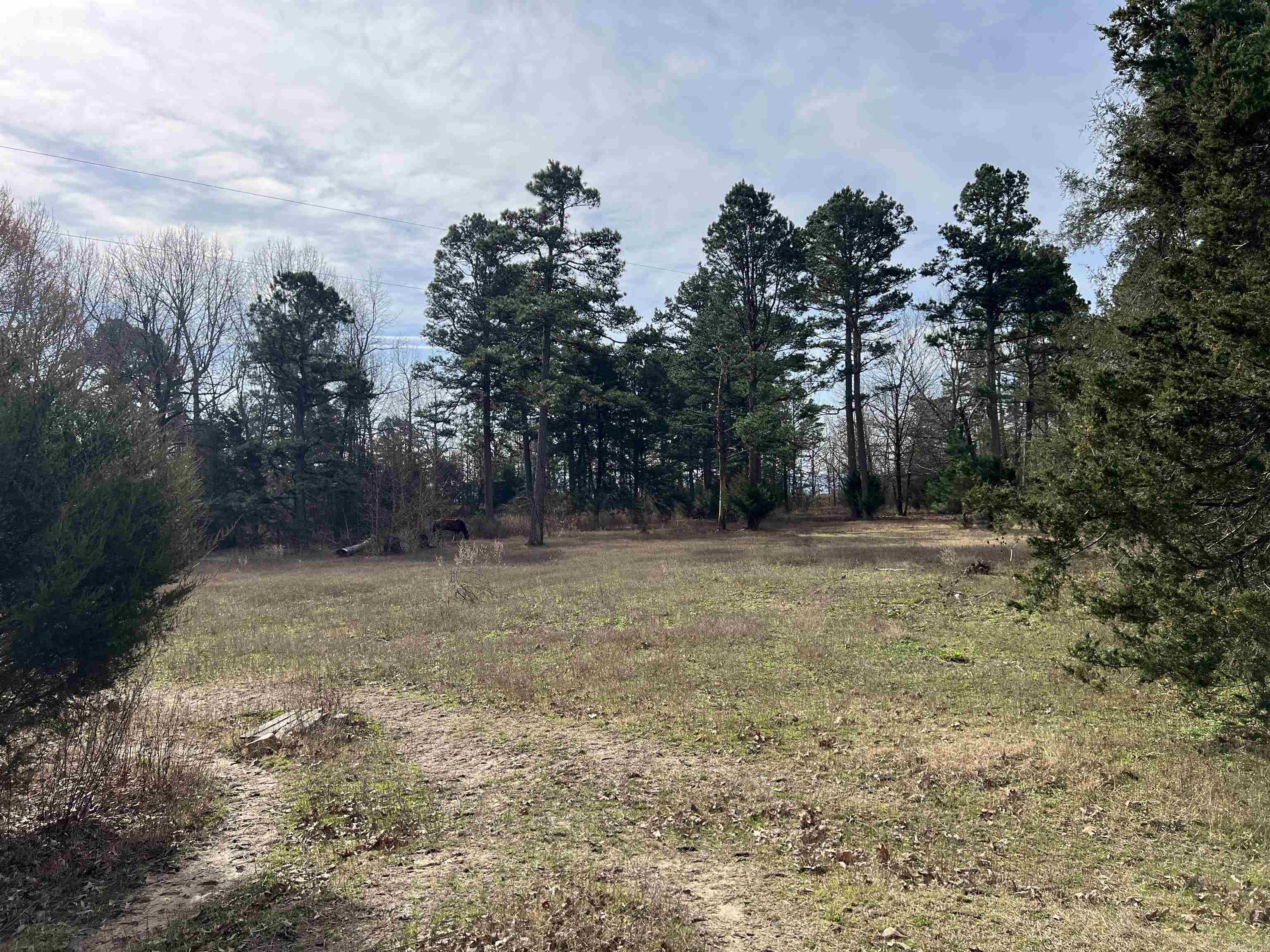 305 Polk Road 76 W Property Photo 27