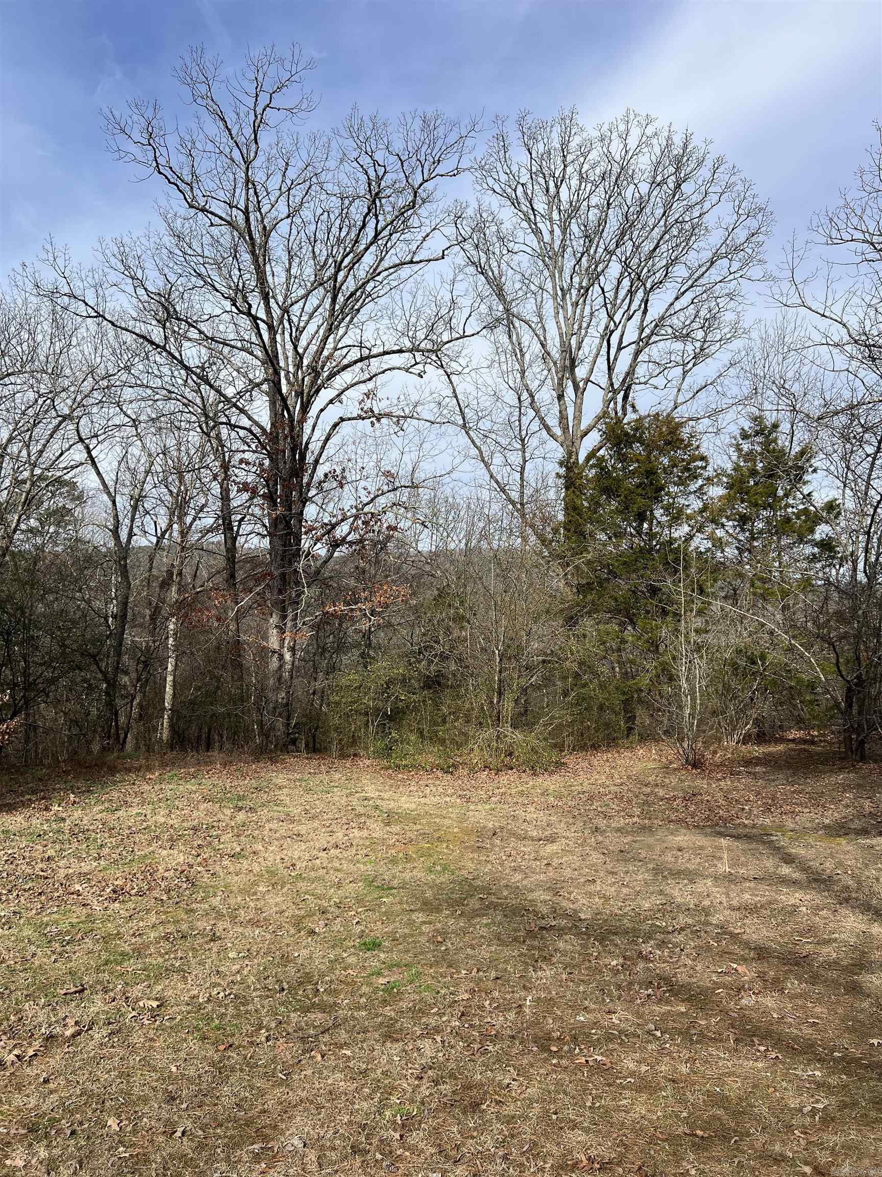305 Polk Road 76 W Property Photo 28