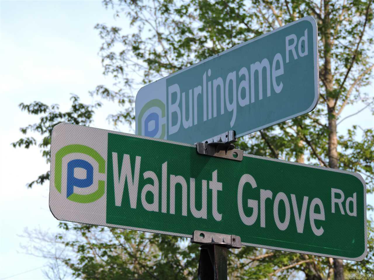 Lot 1 Walnut Grove Burlingame Rds. Property Photo 3