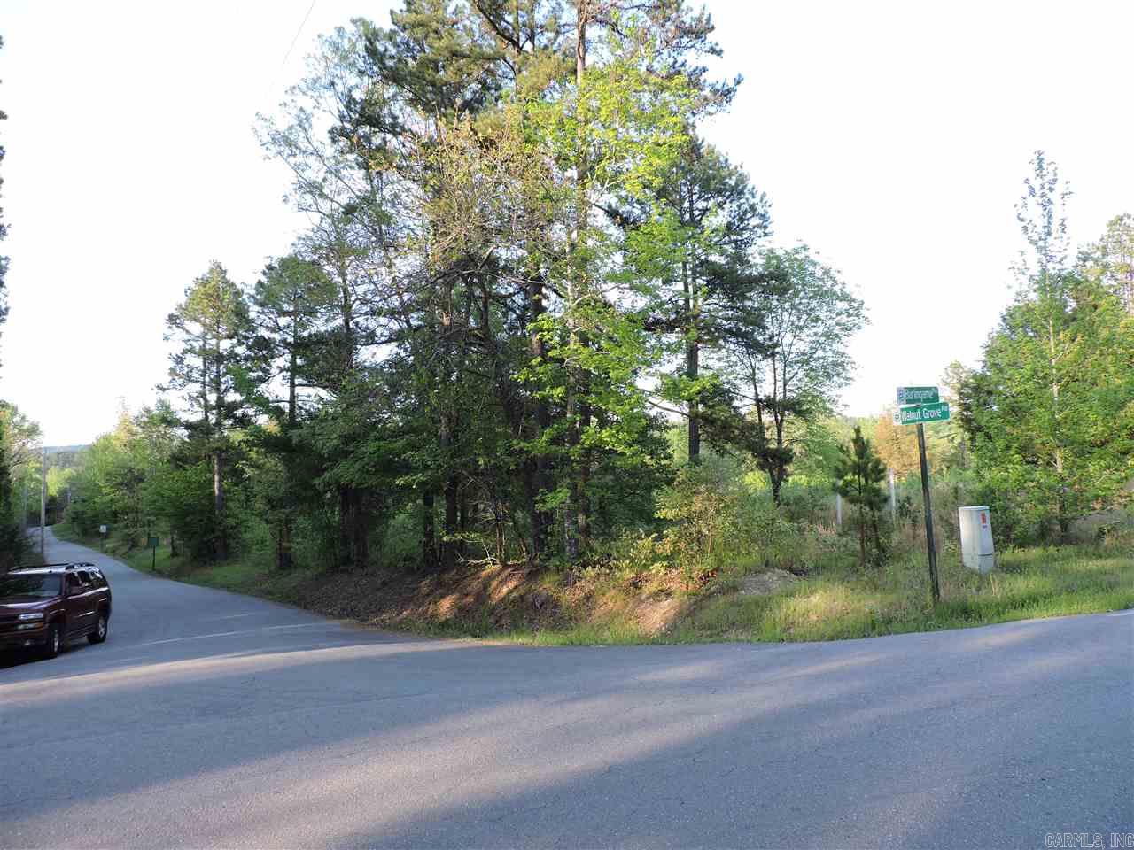 Lot 2 Walnut Grove Burlingame Rds. Property Photo 4