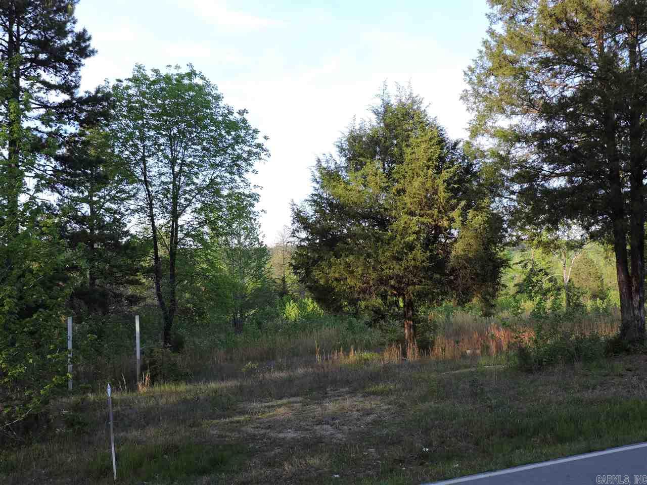 Lot 2 Walnut Grove Burlingame Rds. Property Photo 5