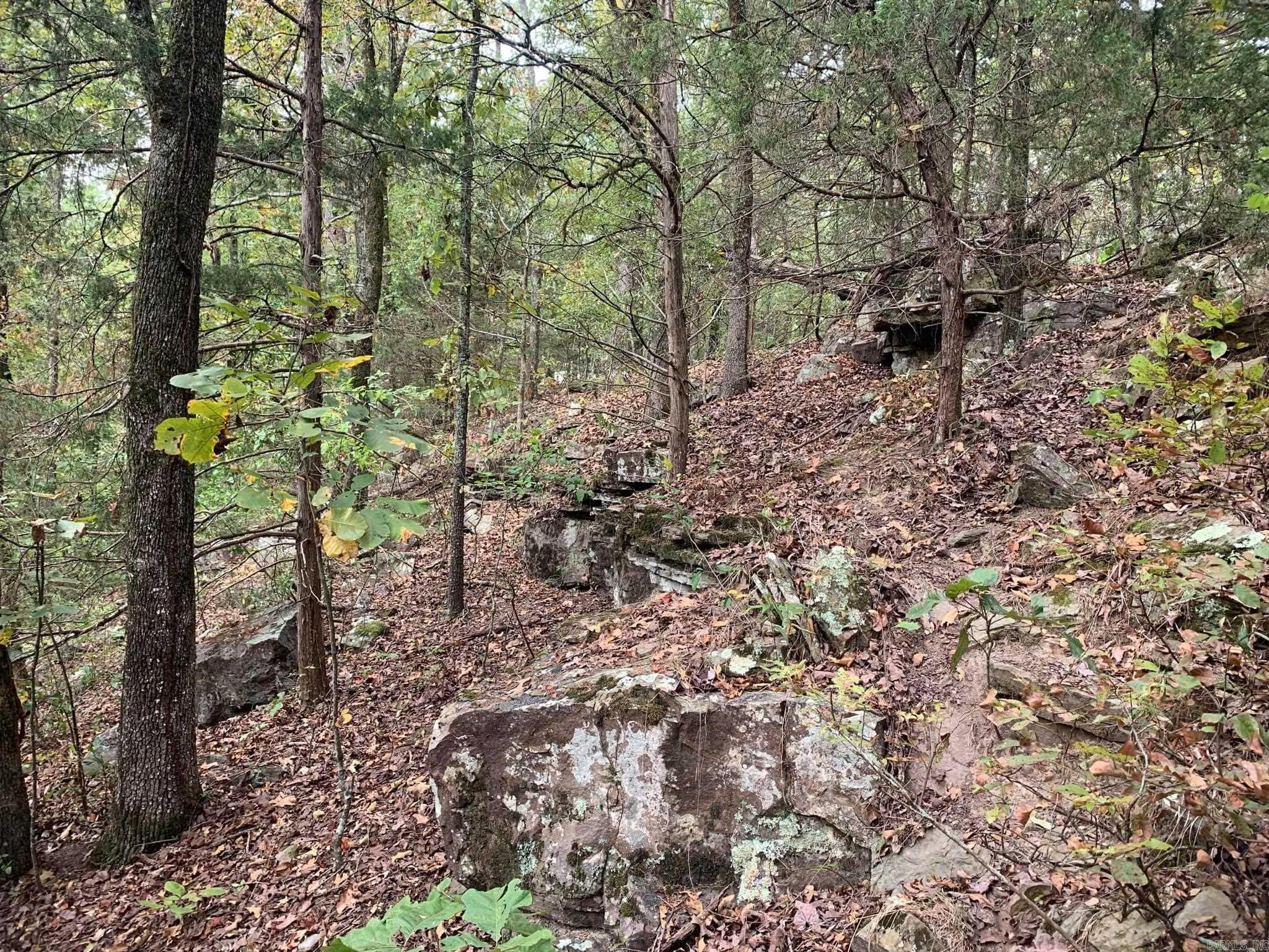00 Ward Cove Property Photo 2