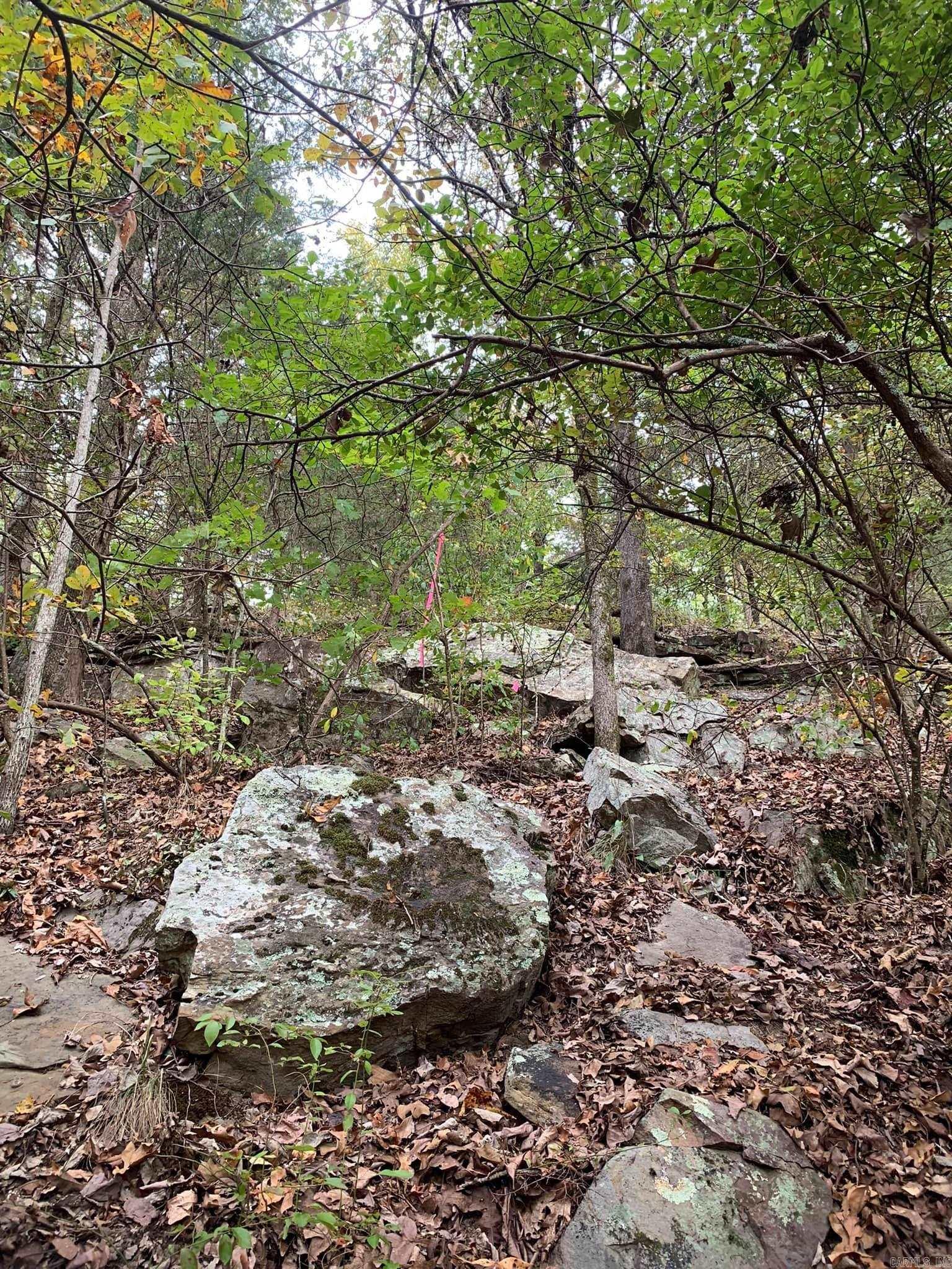 00 Ward Cove Property Photo 3