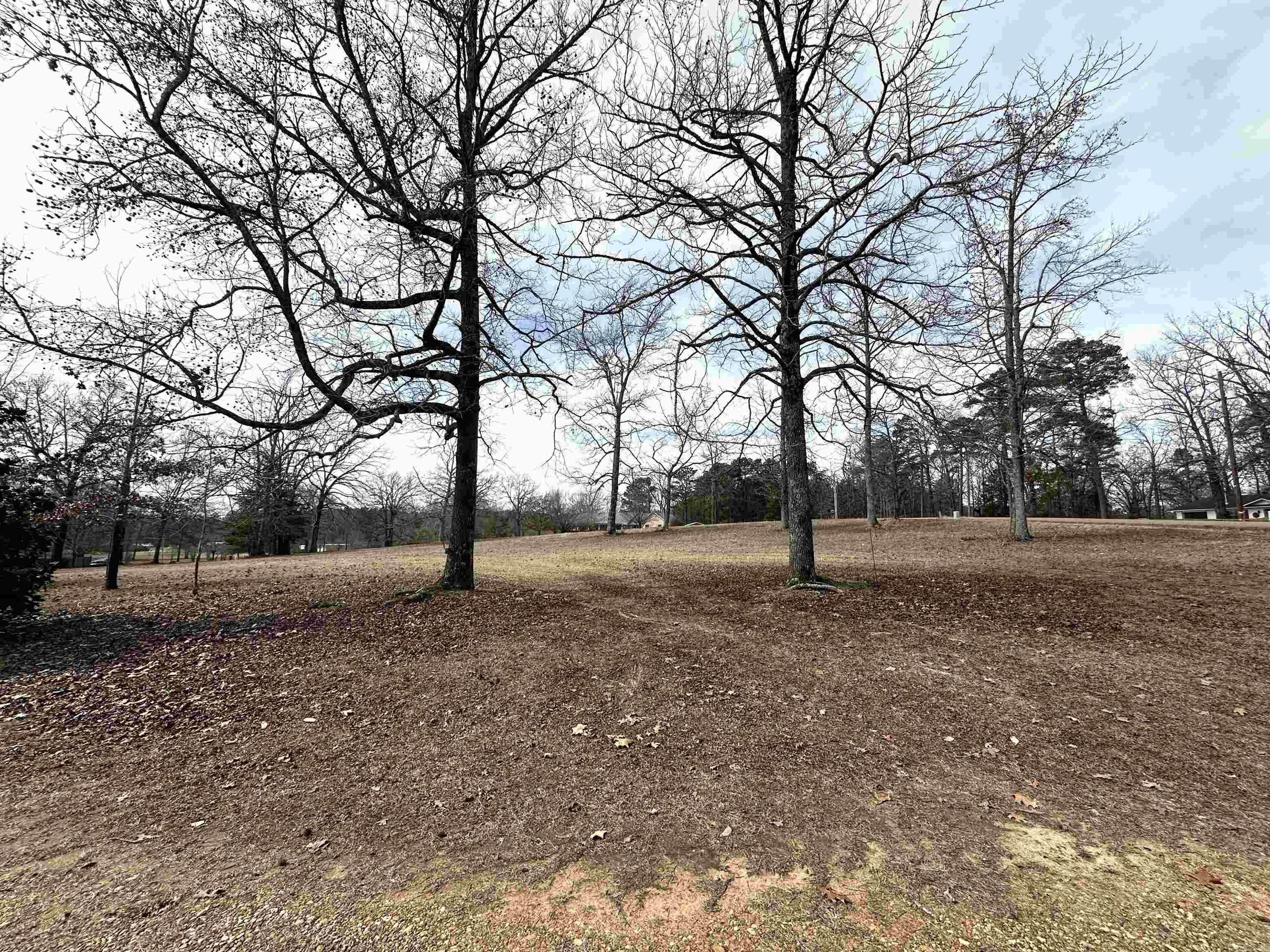 507 Oak Trail Property Photo 28