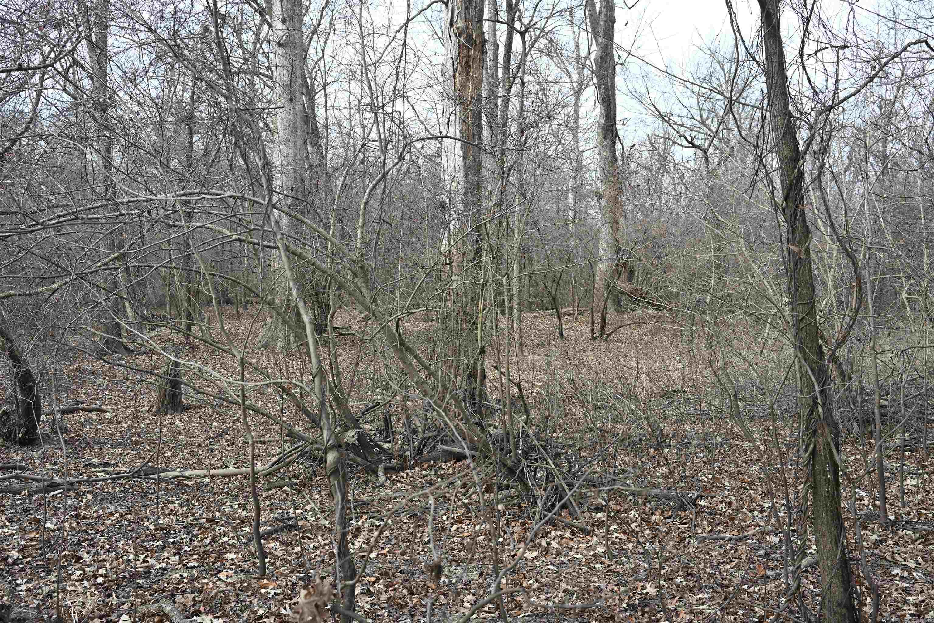 00 Cr 242 Road Property Photo 8