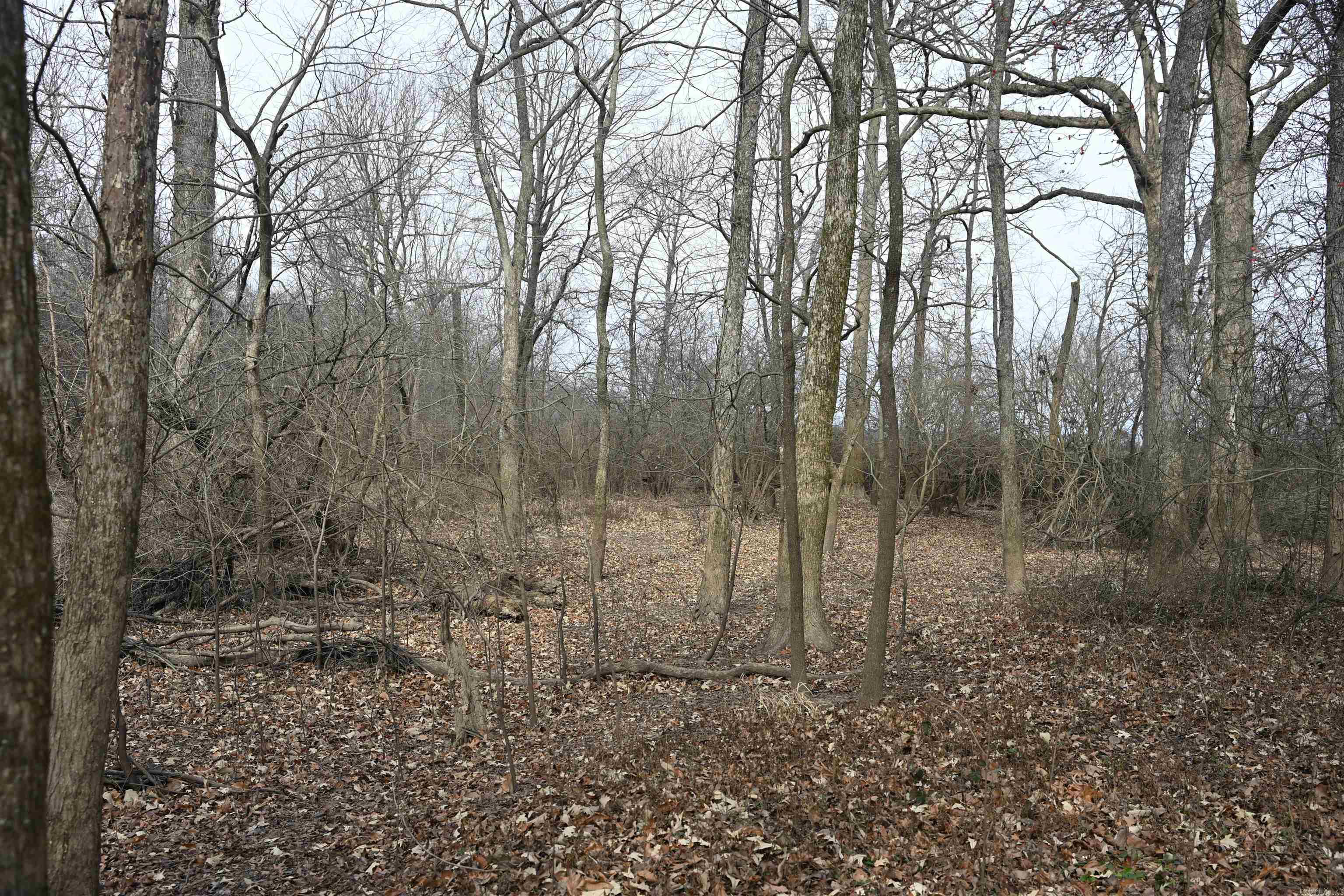 00 Cr 242 Road Property Photo 9