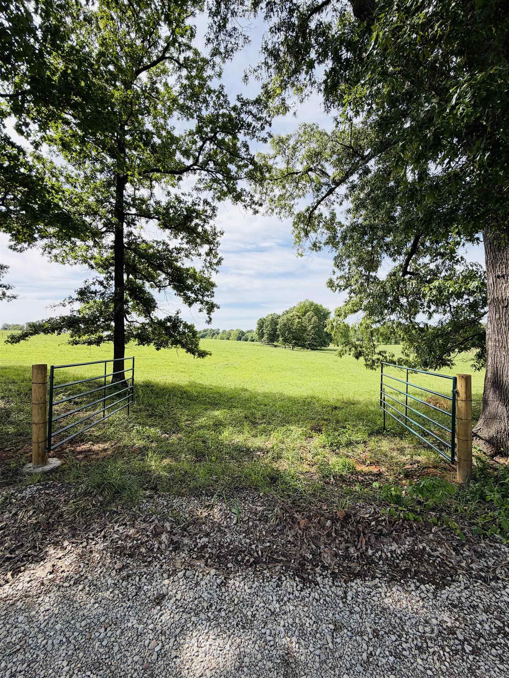 394 County Road 348 Property Photo 1