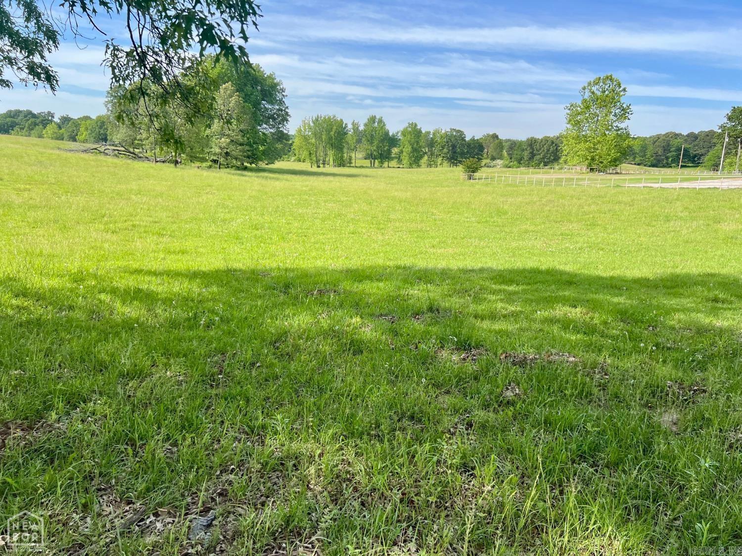 394 County Road 348 Property Photo 5