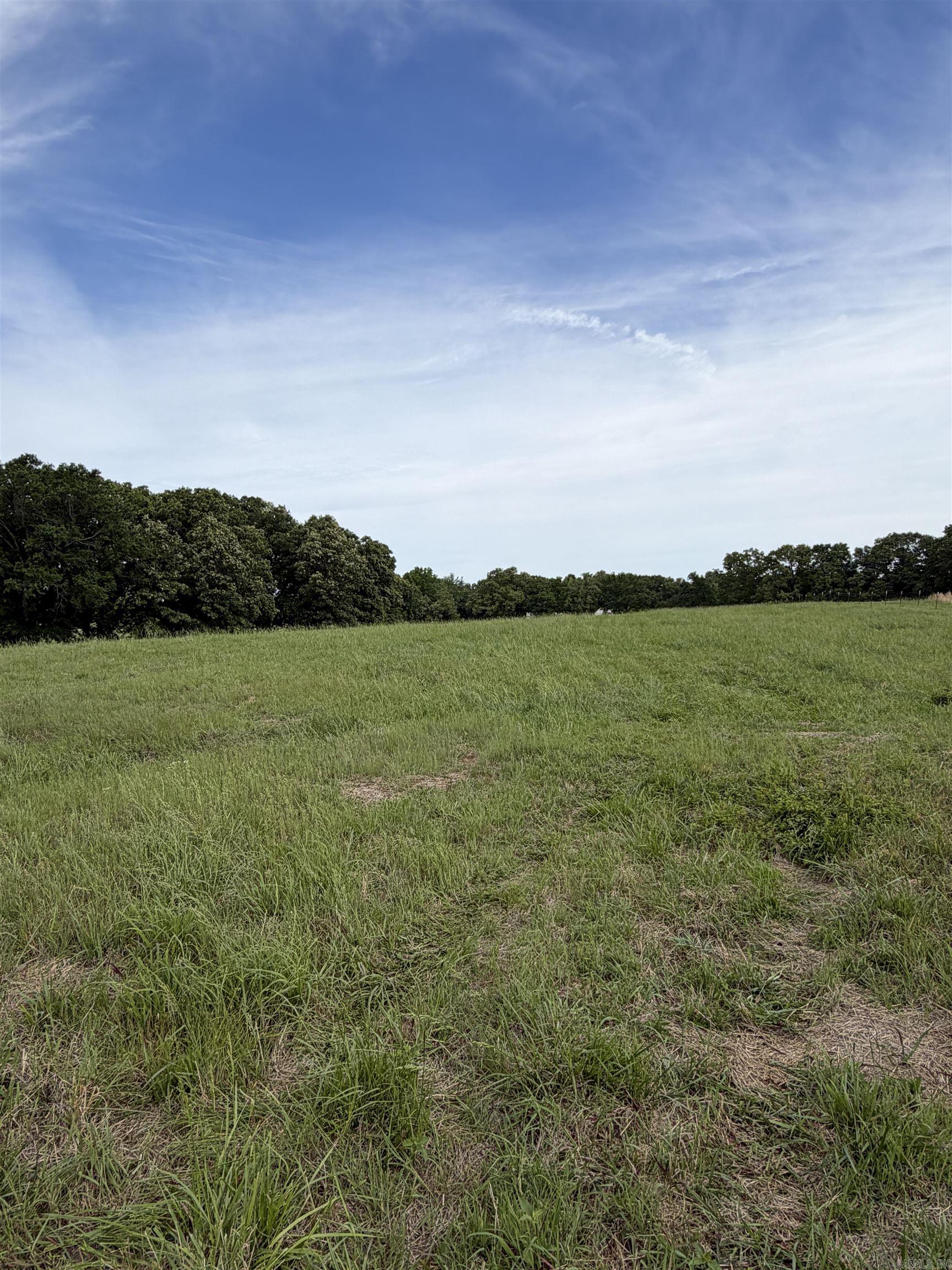394 County Road 348 Property Photo 6