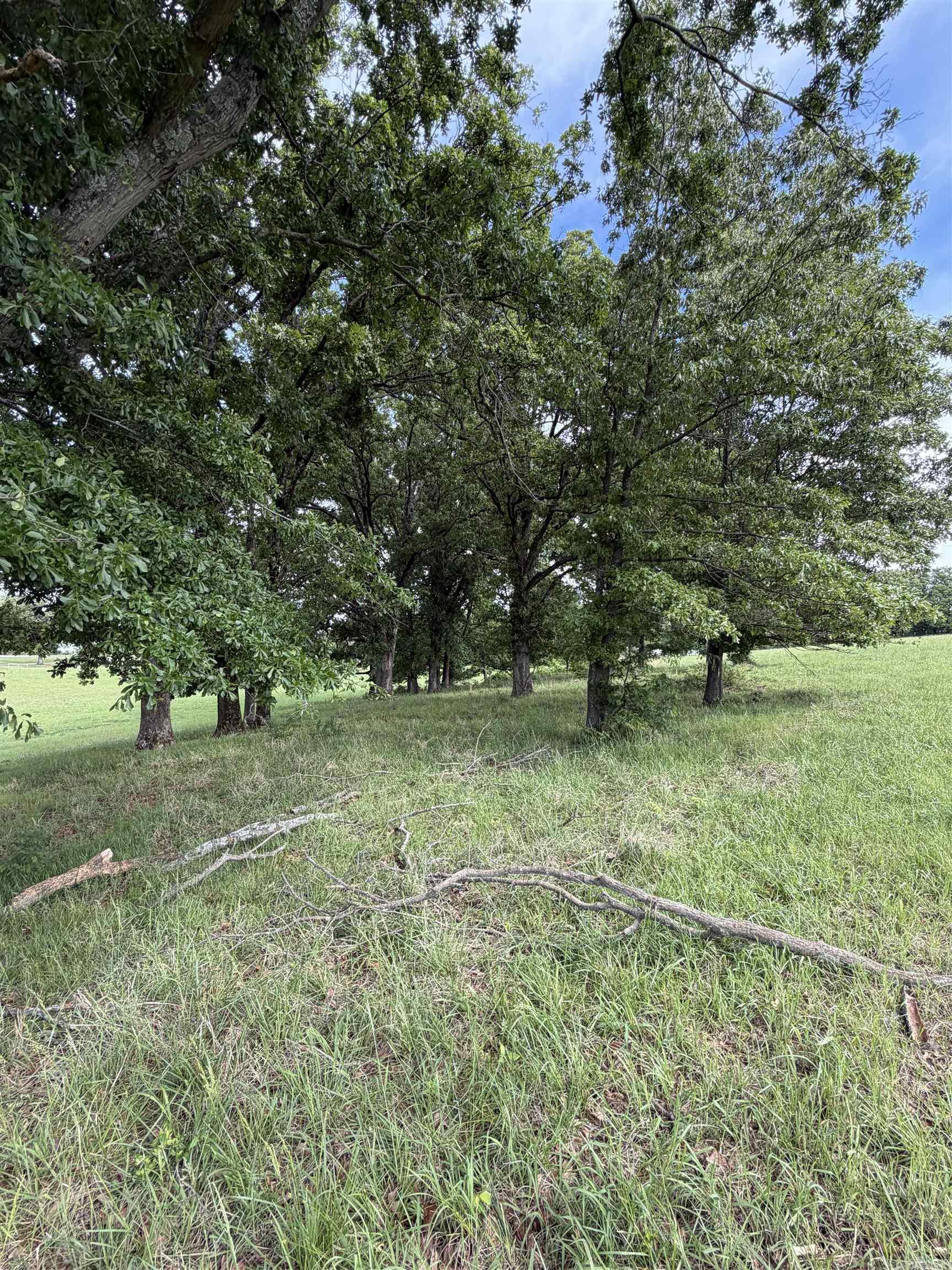 394 County Road 348 Property Photo 7
