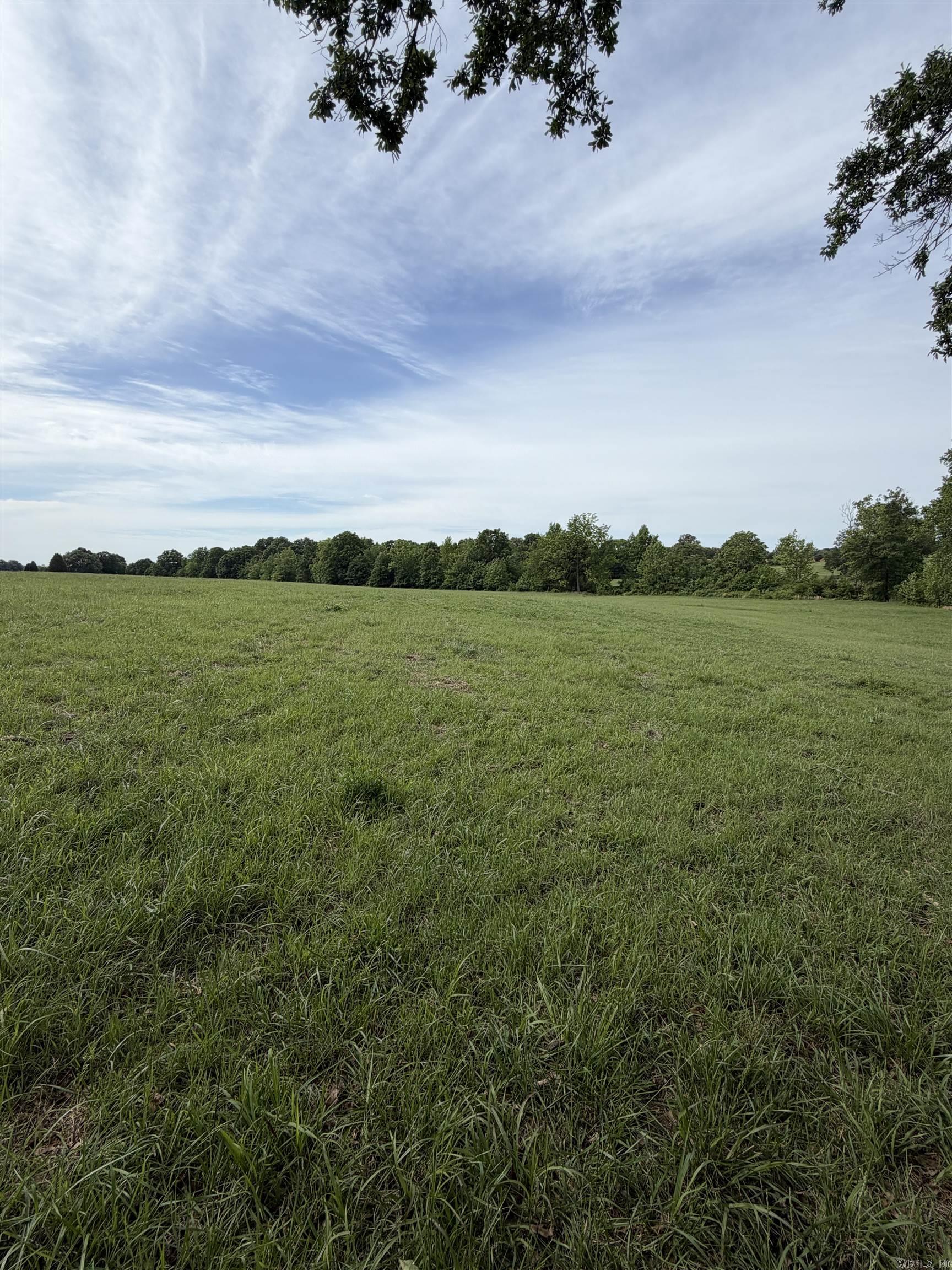 394 County Road 348 Property Photo 8