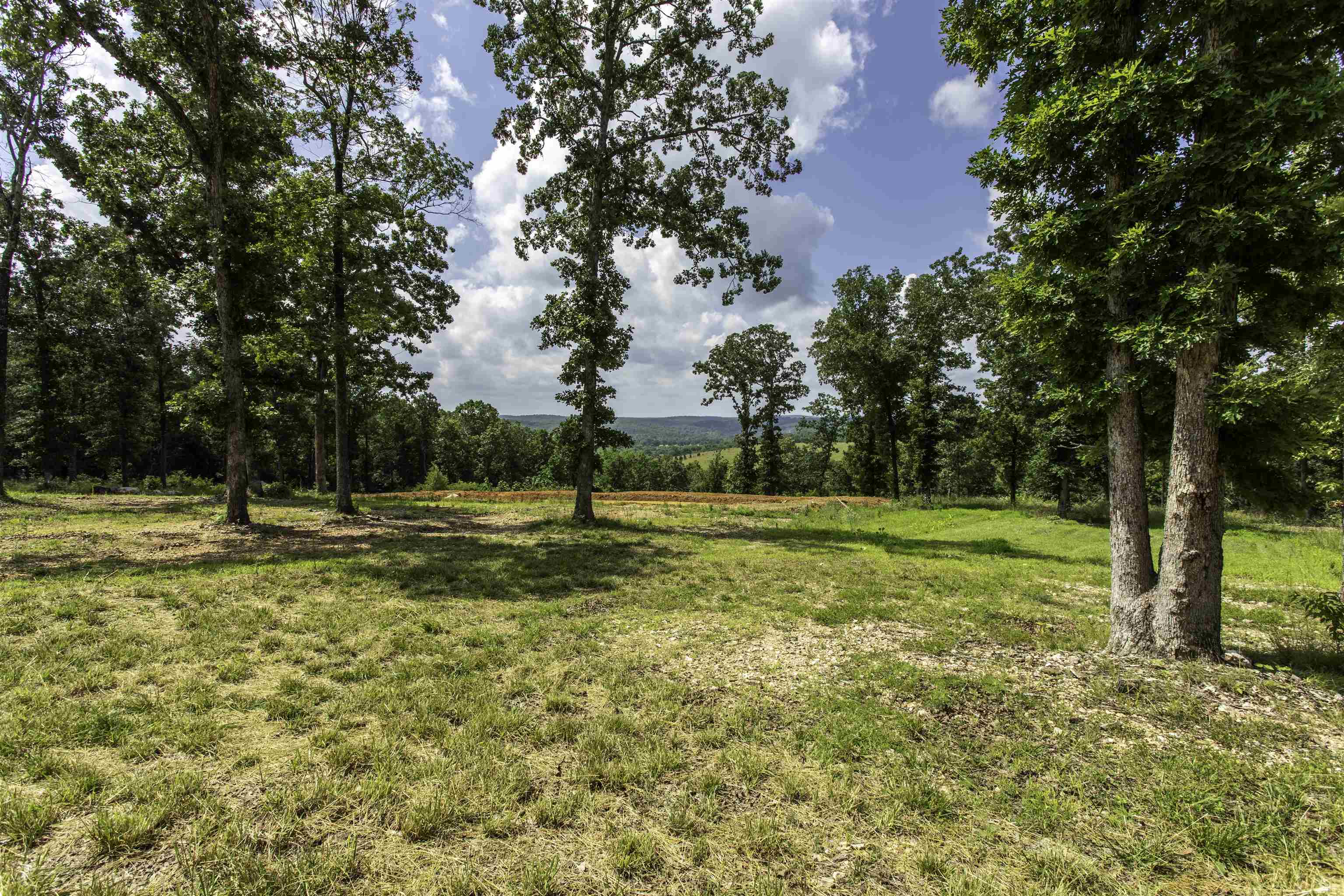 131 E Arkansas Highway 58 Property Photo 43