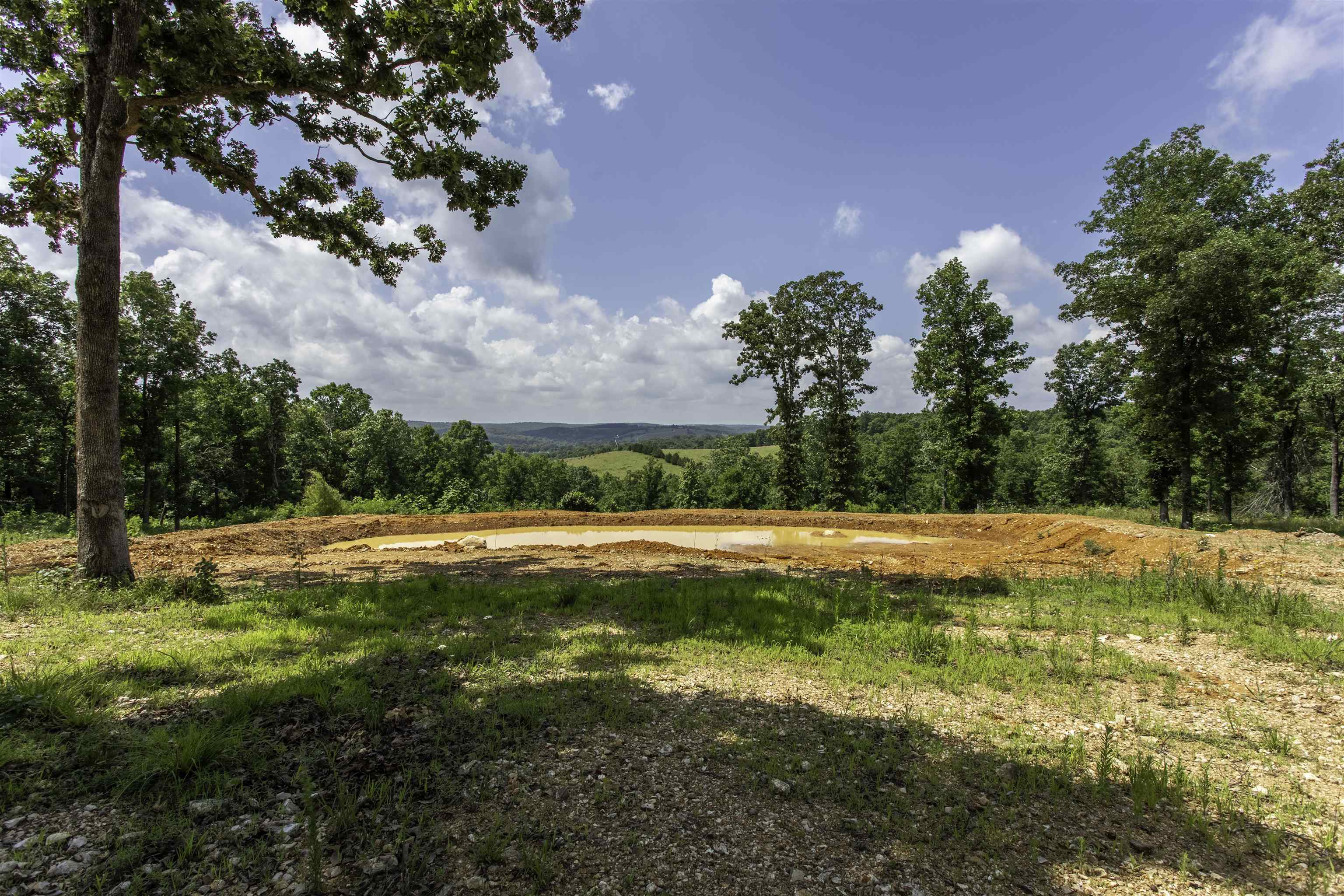 131 E Arkansas Highway 58 Property Photo 46