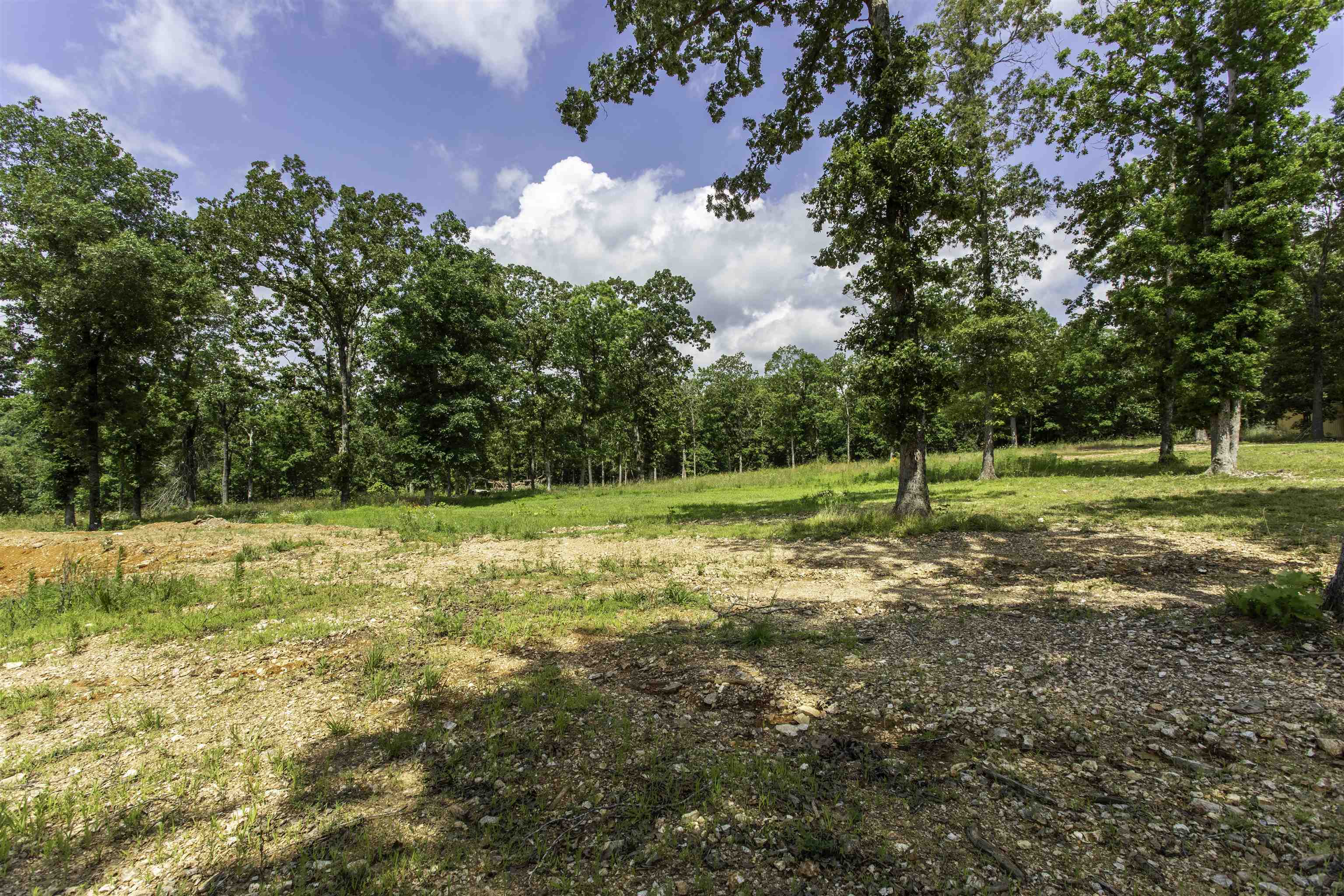 131 E Arkansas Highway 58 Property Photo 47