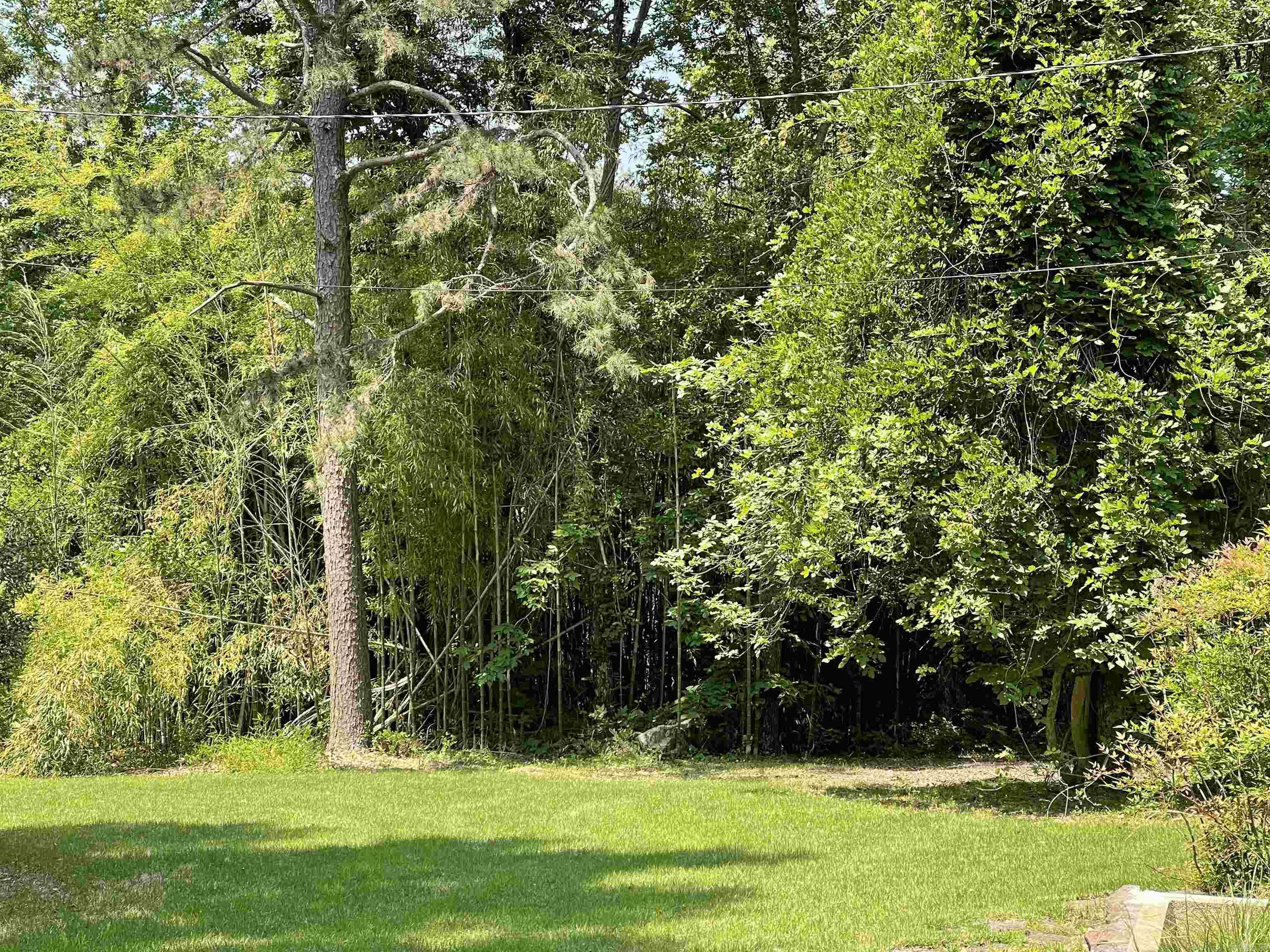 395 Wood Grove Lane Property Photo 4