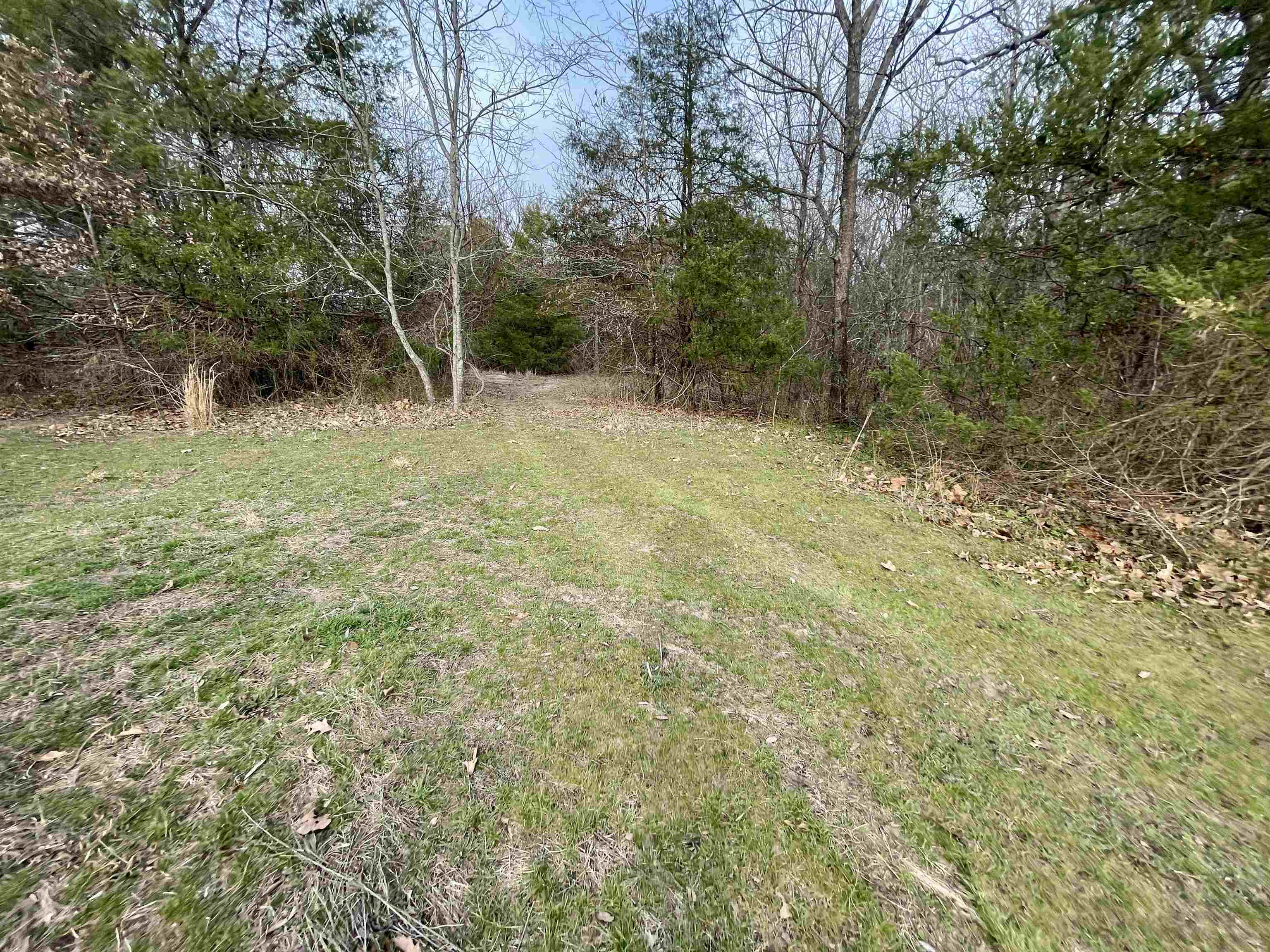 122 Runway Lane Property Photo 17
