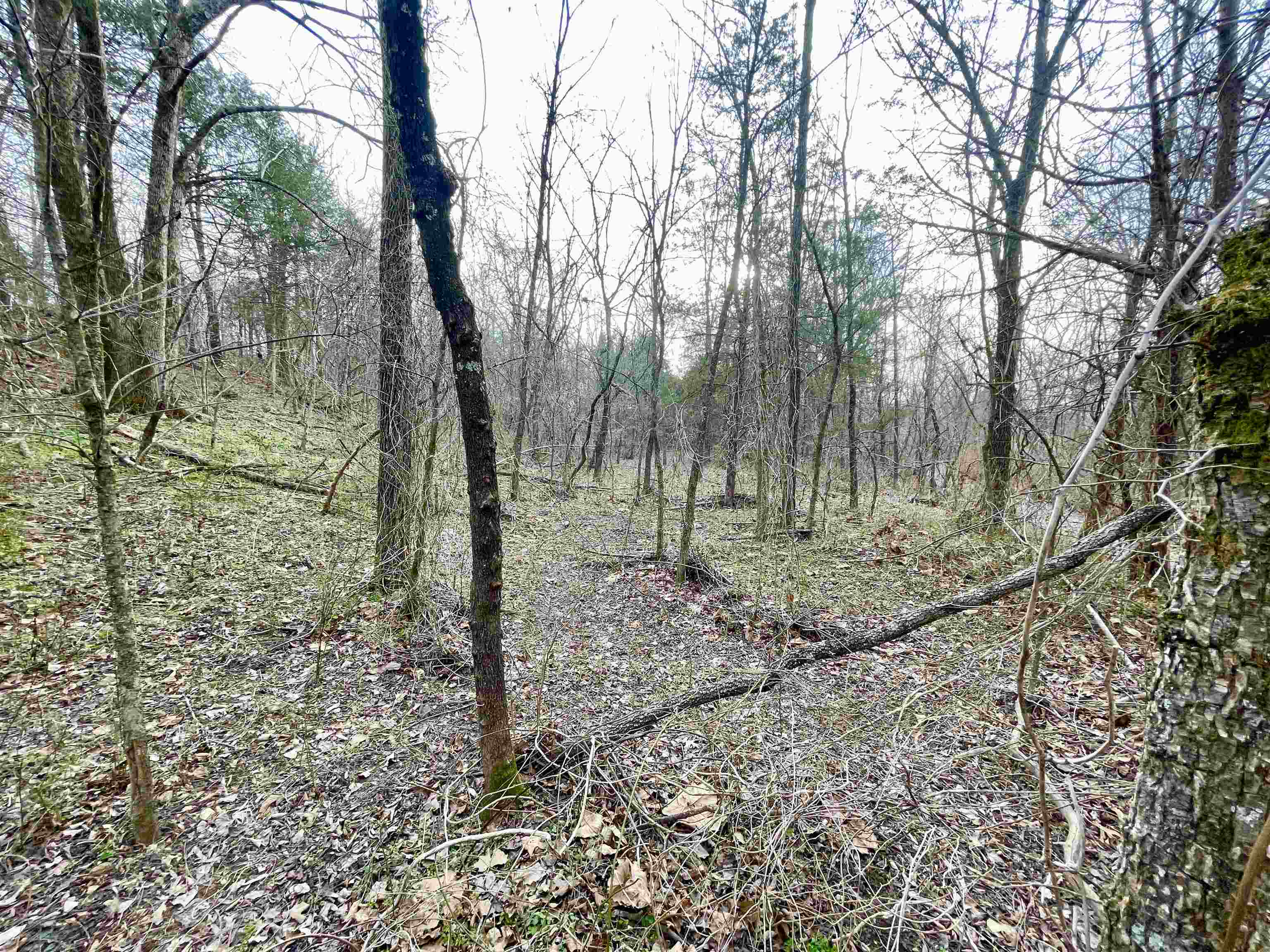 122 Runway Lane Property Photo 18