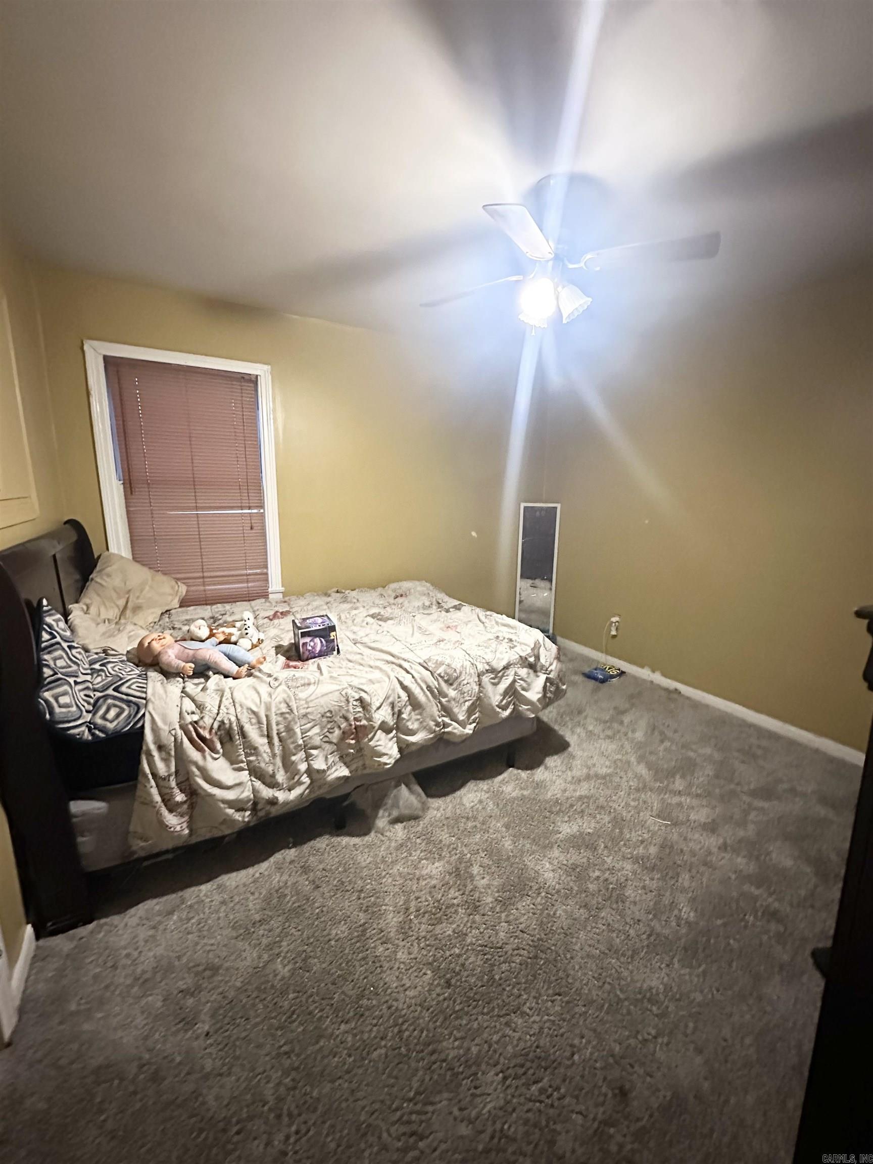 16 Shirley St. Property Photo 5