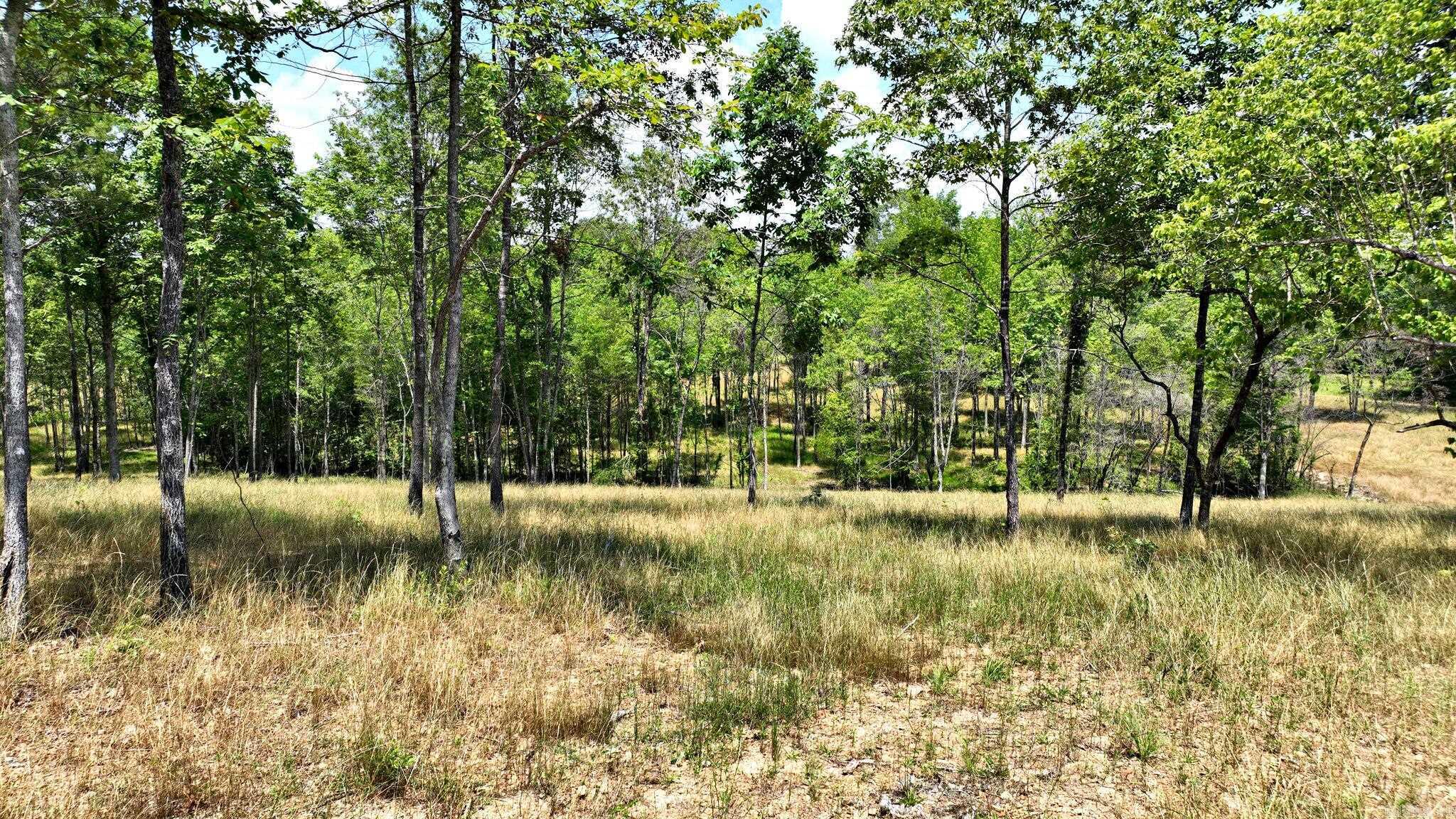 Tbd, Tract 4 Polk Road 158 Property Photo 2