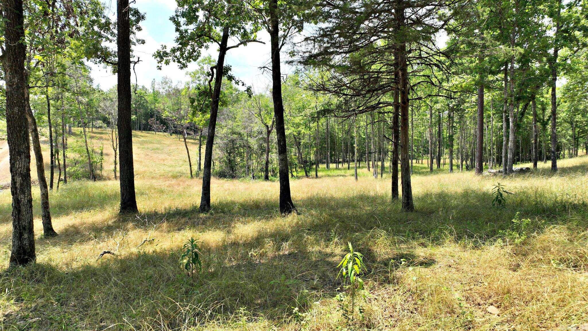 Tbd, Tract 4 Polk Road 158 Property Photo 3