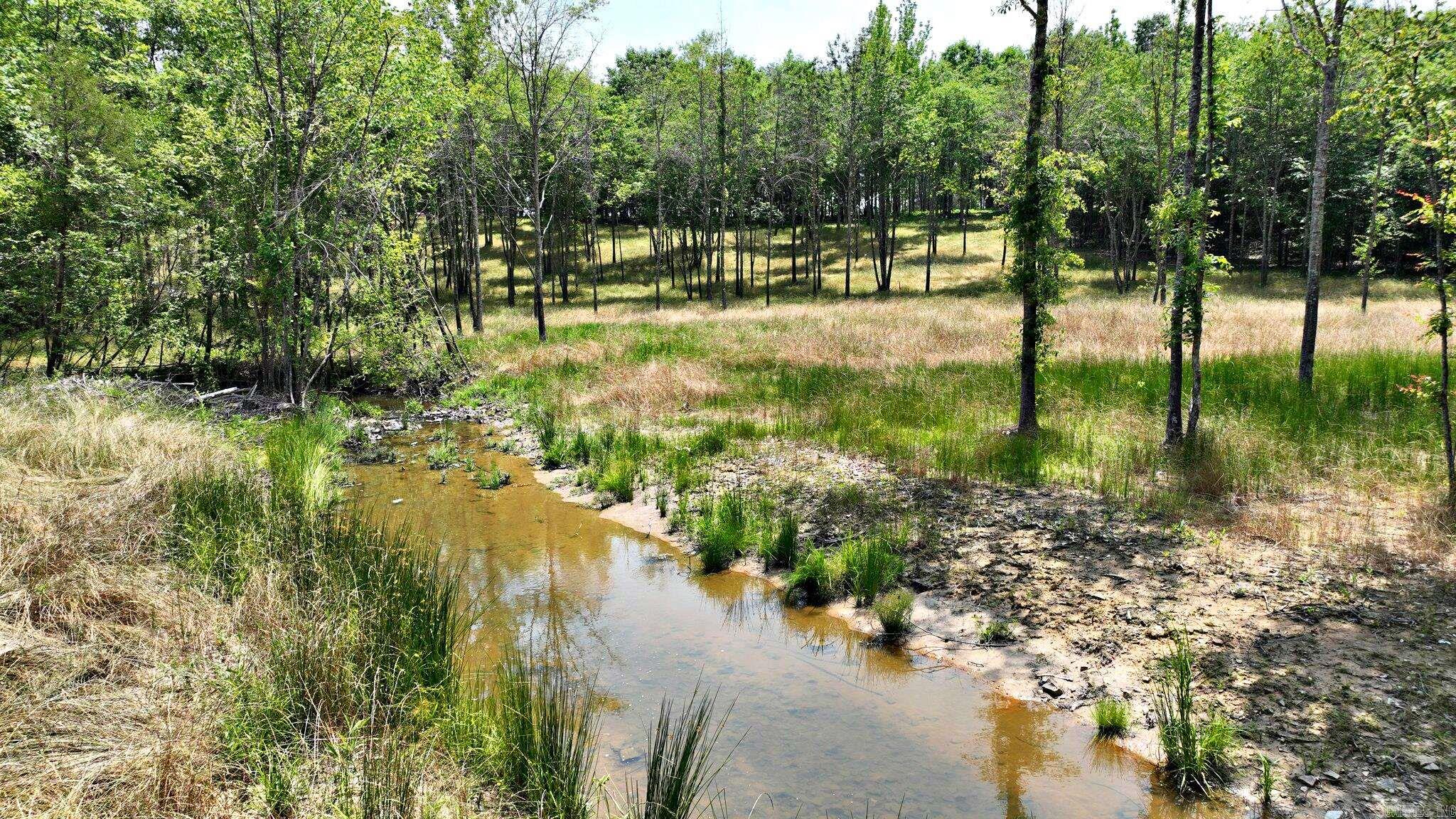 Tbd, Tract 4 Polk Road 158 Property Photo 4