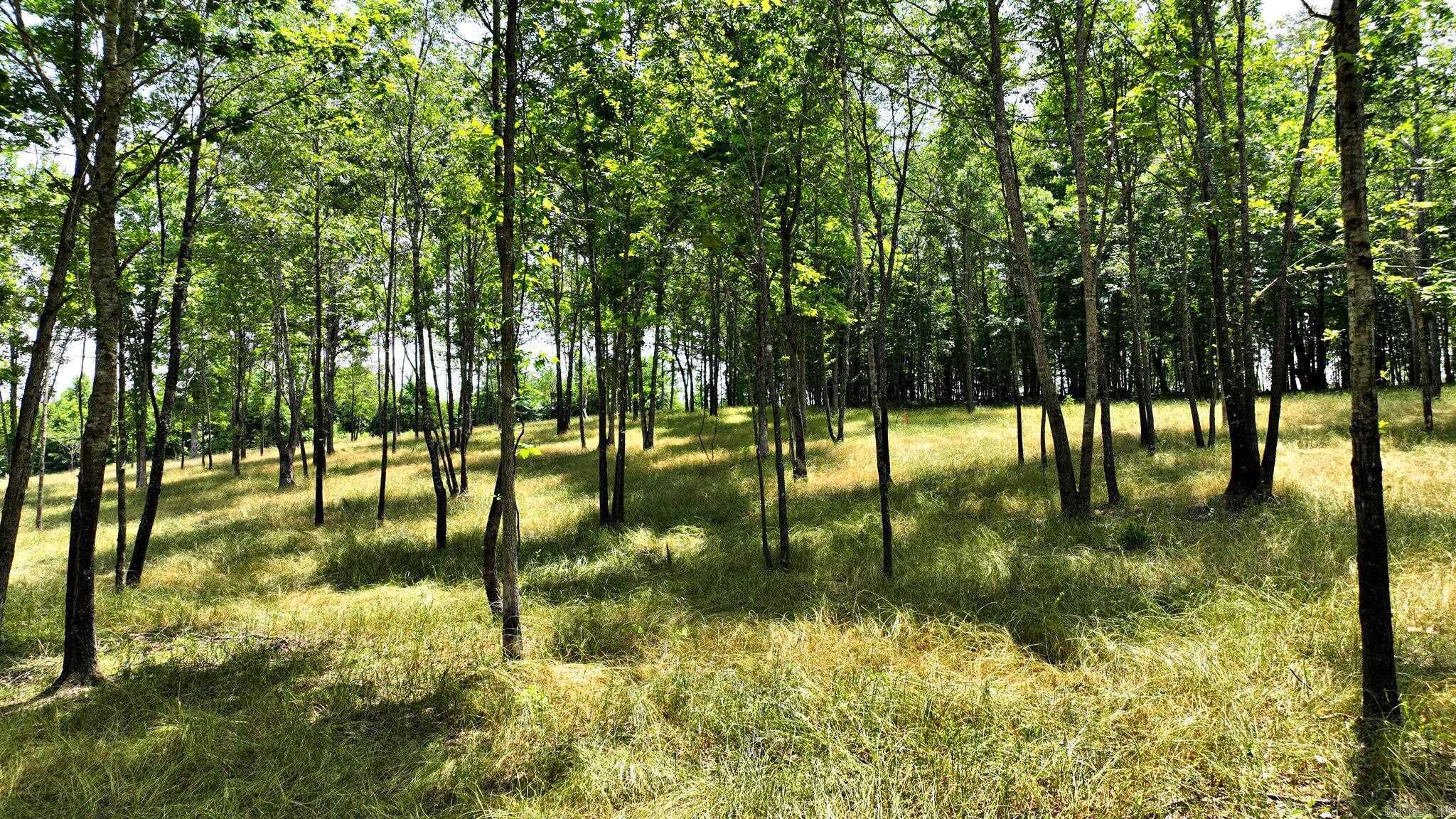 Tbd, Tract 4 Polk Road 158 Property Photo 5