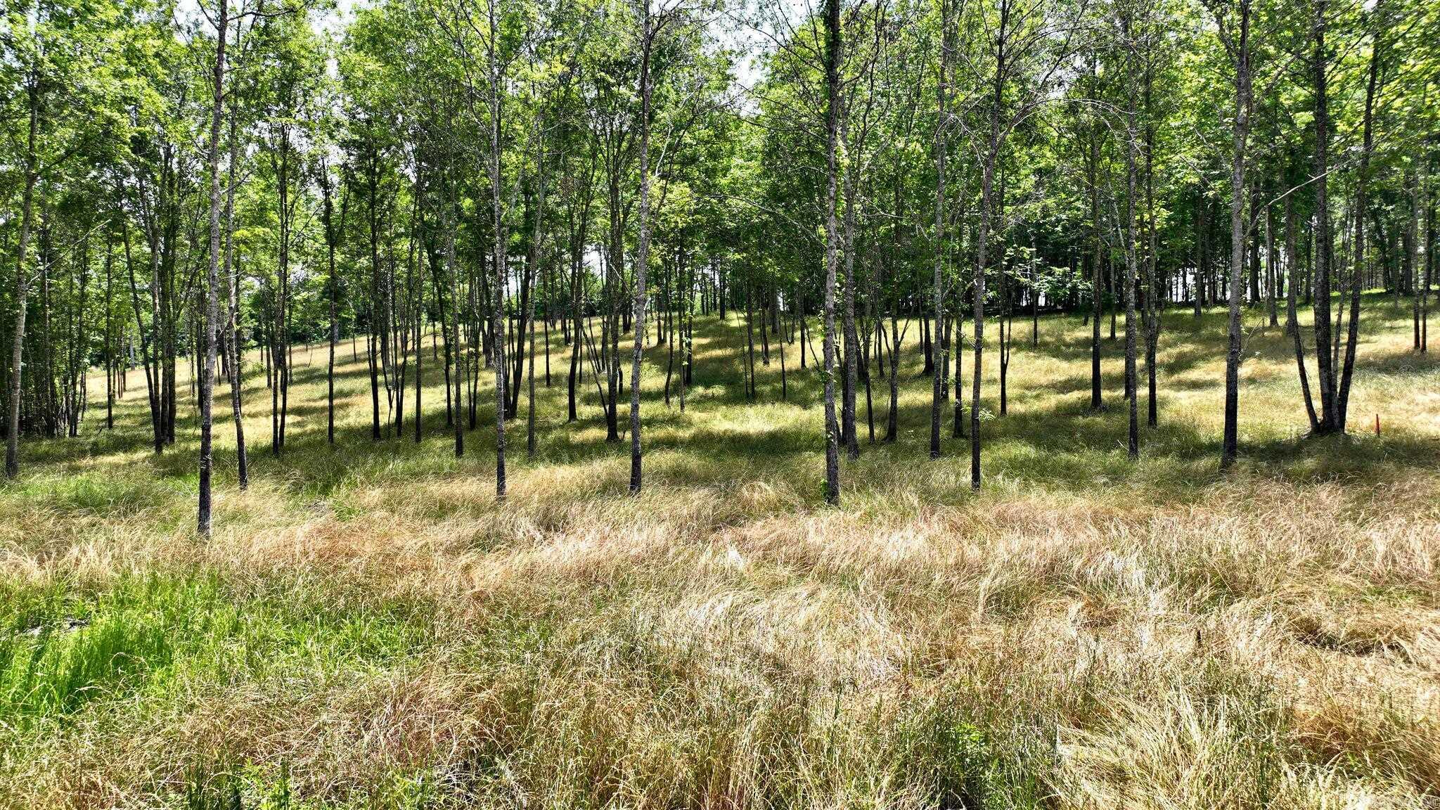 Tbd, Tract 4 Polk Road 158 Property Photo 6