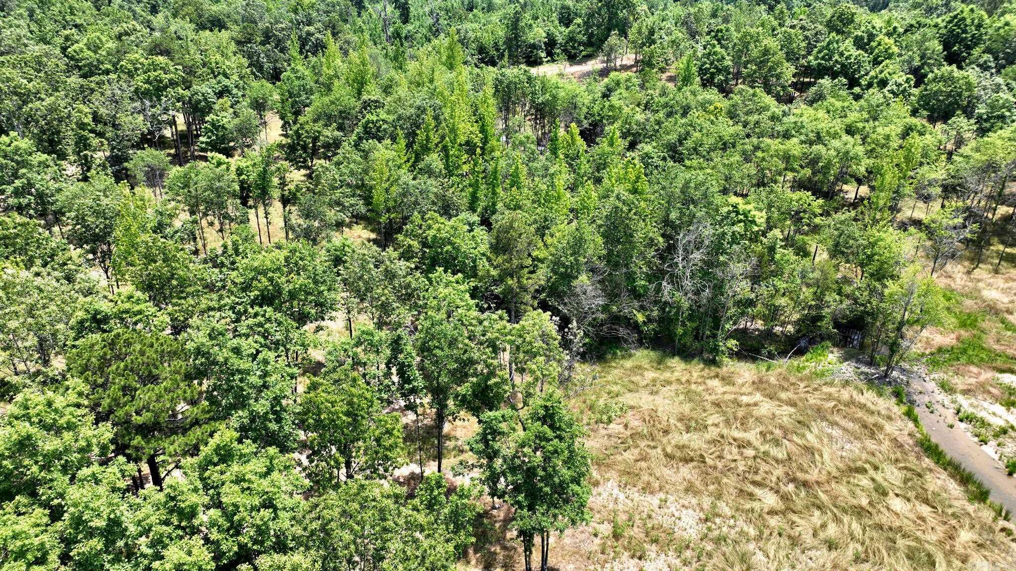Tbd, Tract 4 Polk Road 158 Property Photo 7