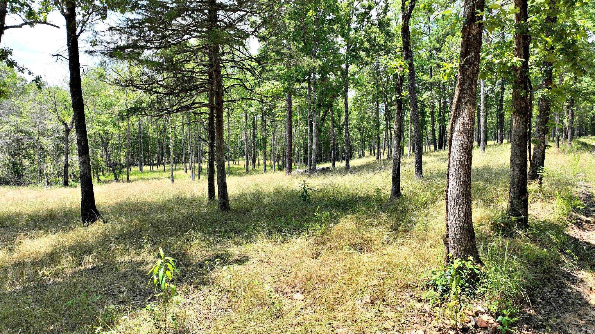 Tbd, Tract 4 Polk Road 158 Property Photo 9