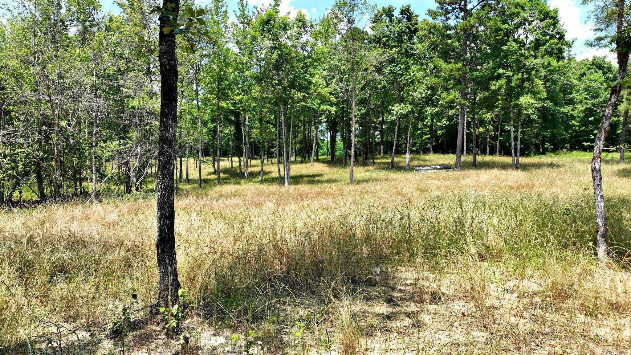 Tbd, Tract 4 Polk Road 158 Property Photo 10