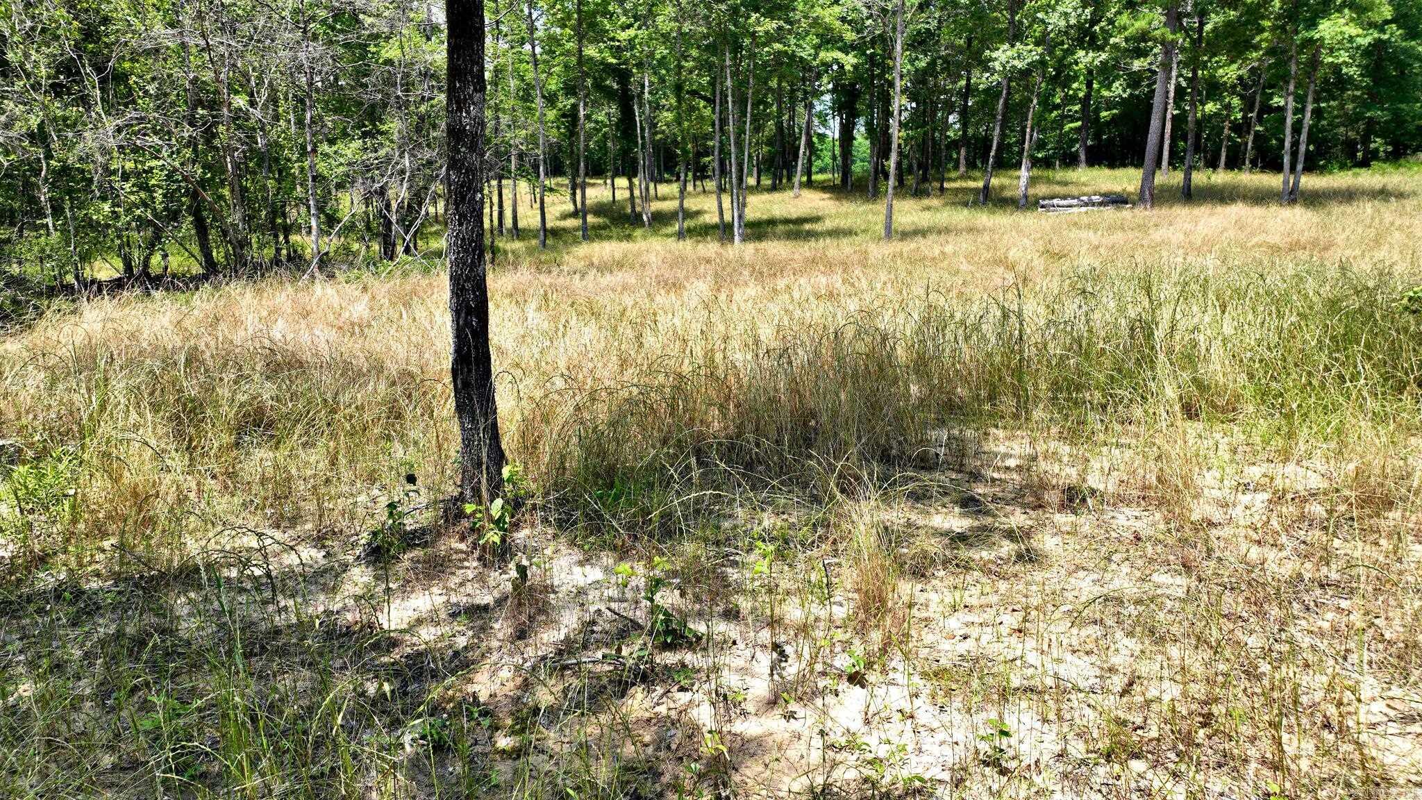 Tbd, Tract 4 Polk Road 158 Property Photo 11