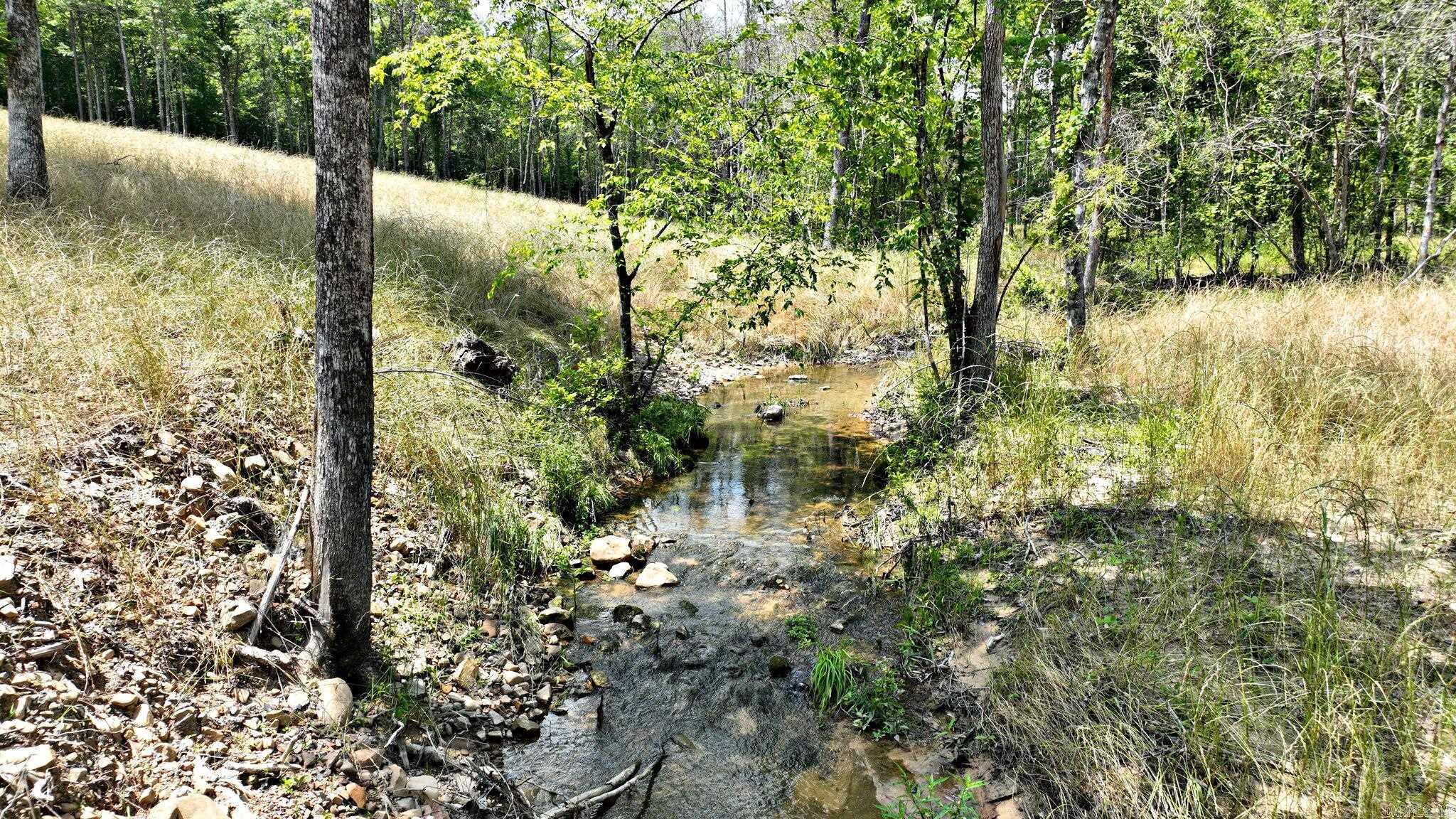 Tbd, Tract 4 Polk Road 158 Property Photo 12