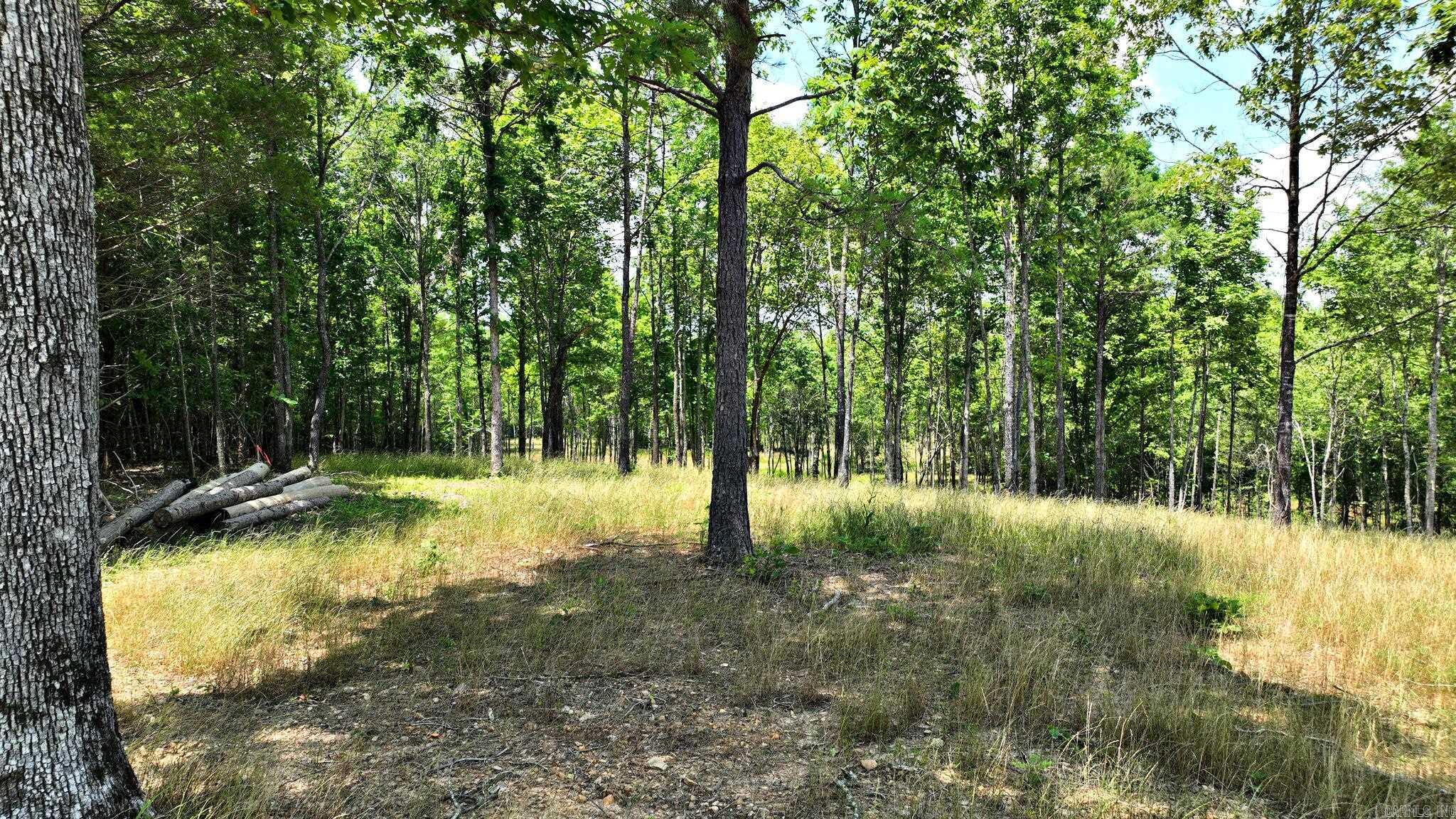 Tbd, Tract 4 Polk Road 158 Property Photo 13