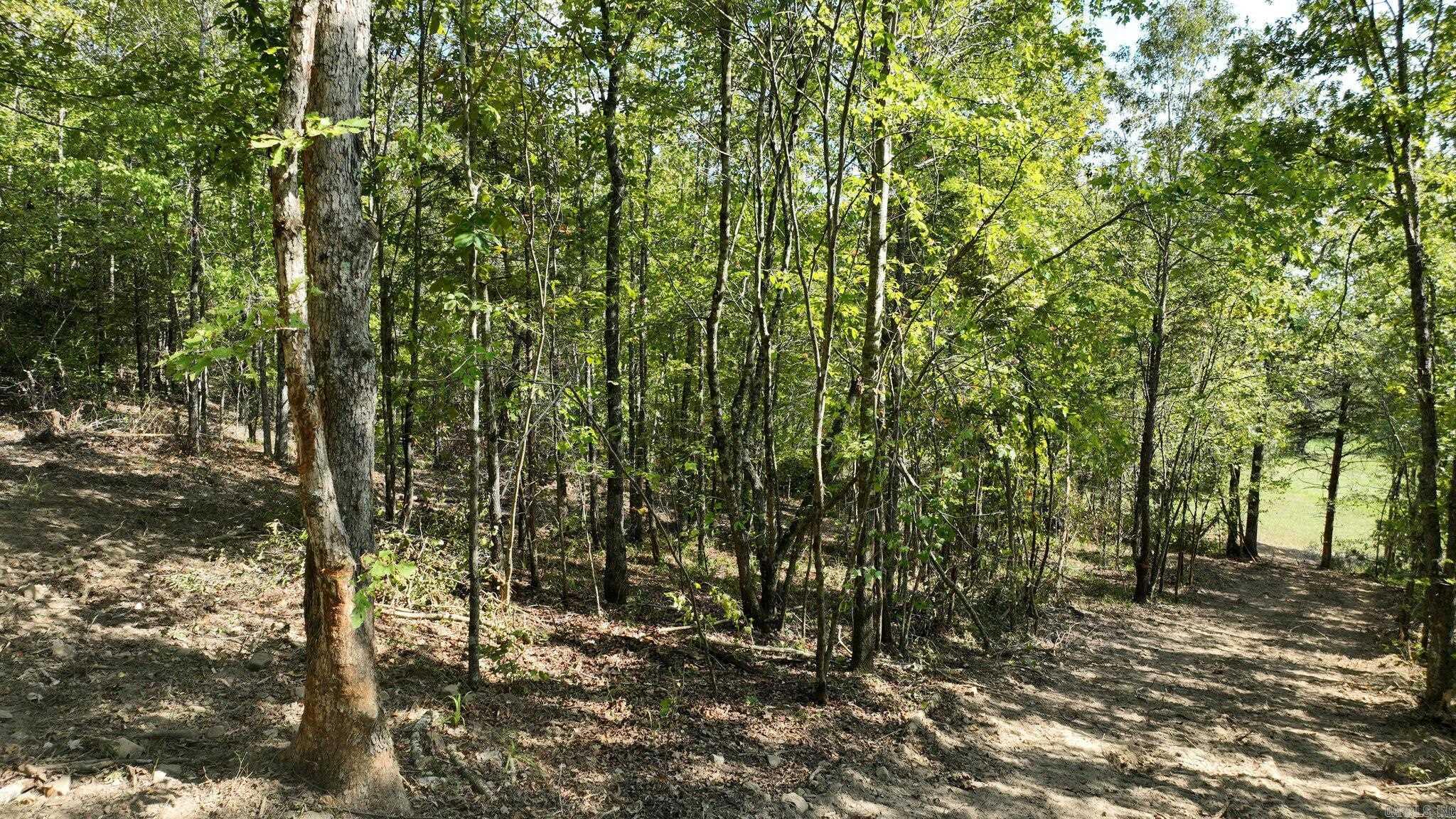 Tbd, Tract 2 Polk Road 158 Property Photo 12