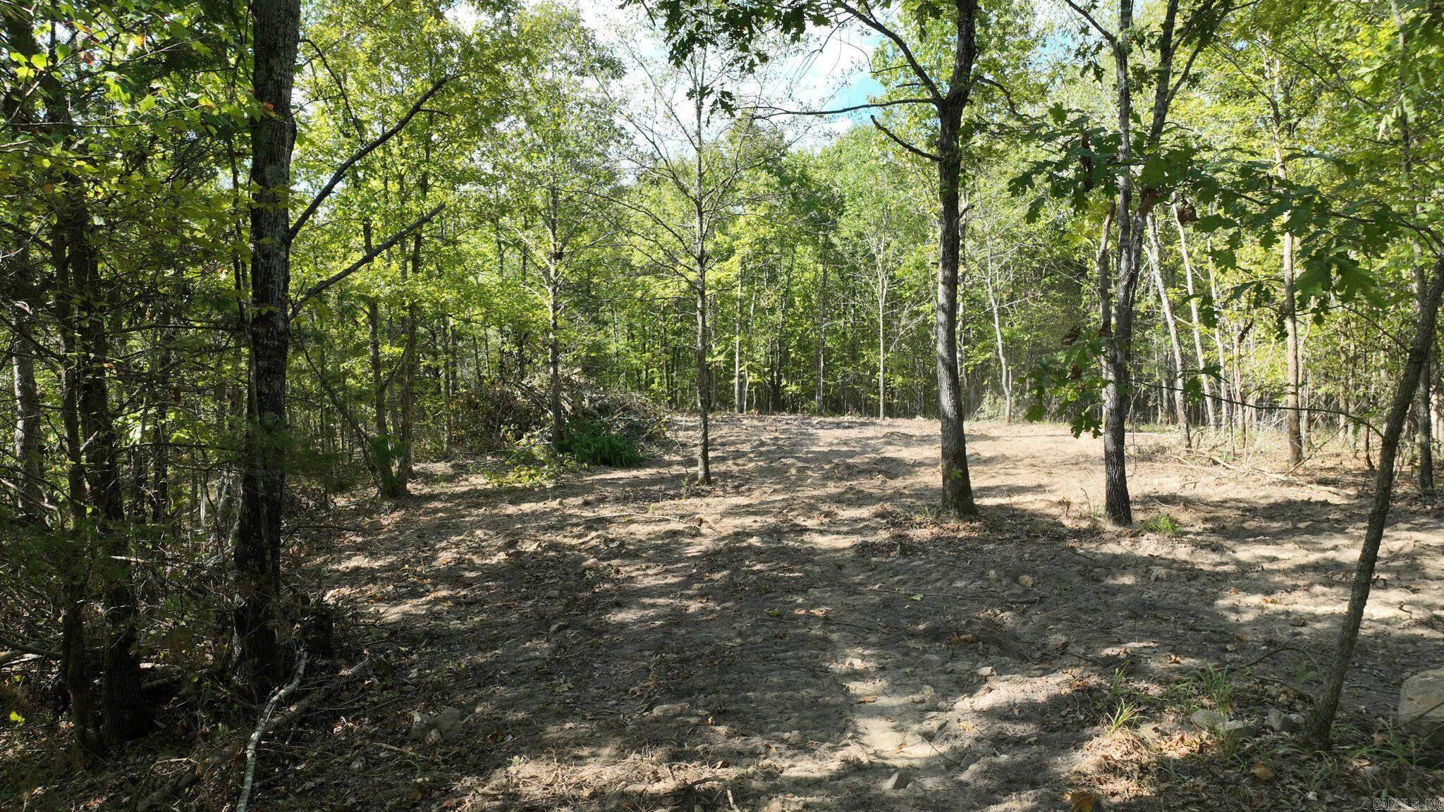 Tbd, Tract 2 Polk Road 158 Property Photo 19