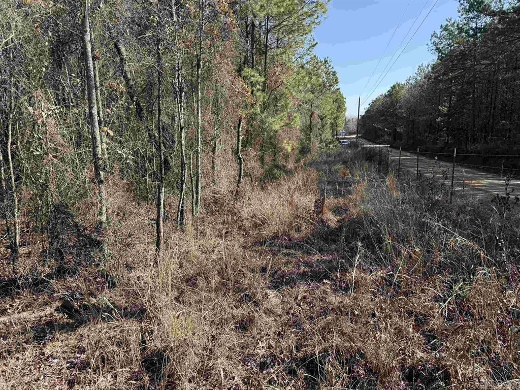 Tbd Polk Road 13 Property Photo 2