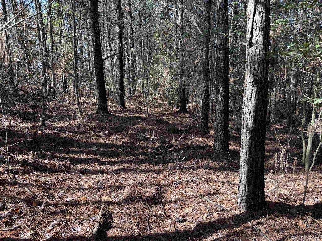 Tbd Polk Road 13 Property Photo 3