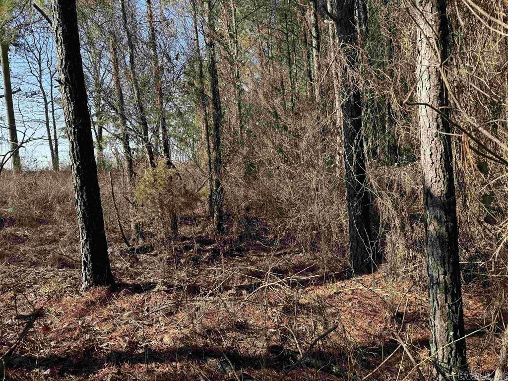 Tbd Polk Road 13 Property Photo 6