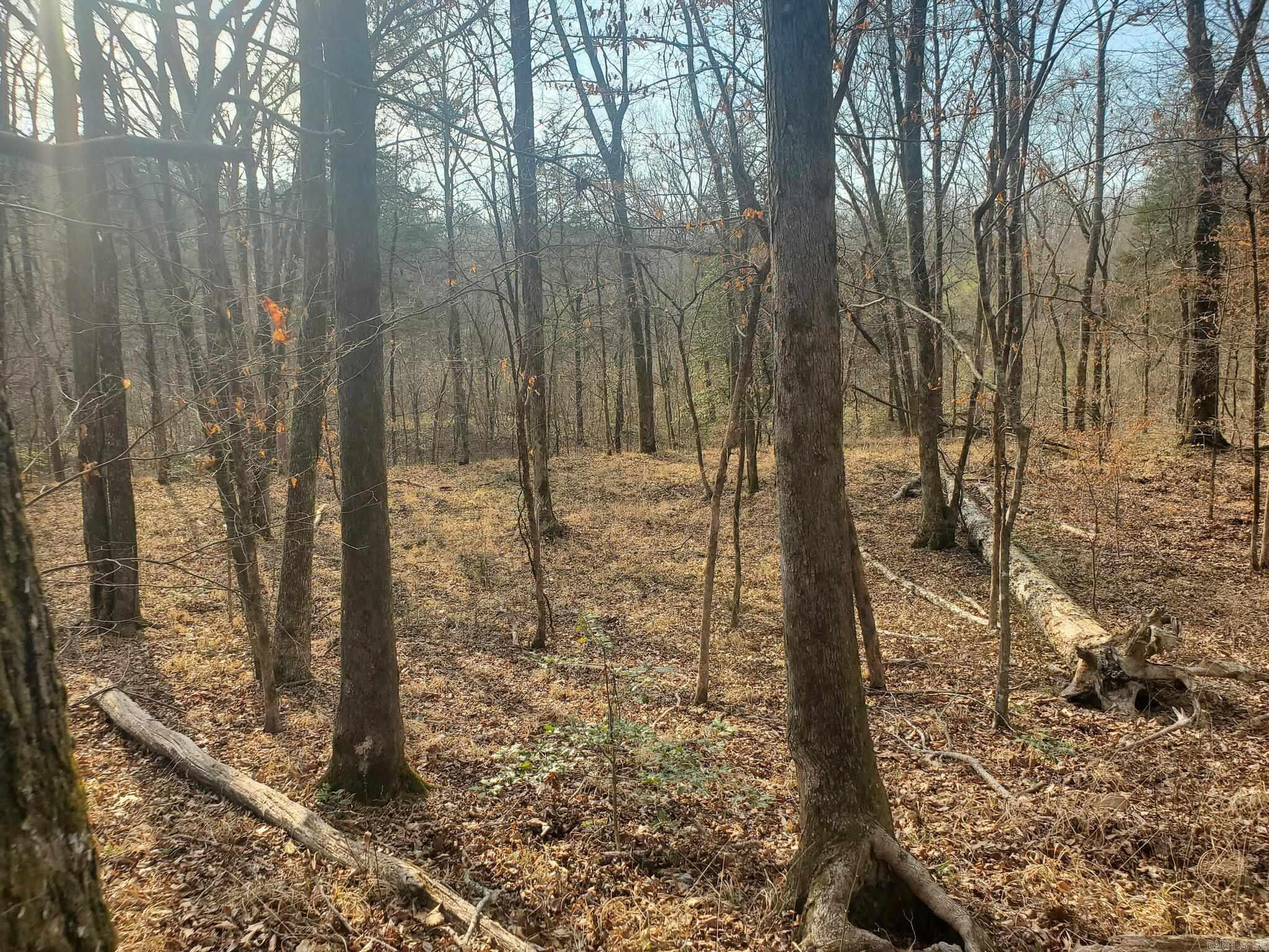 Tbd Kates Creek Road Property Photo 2