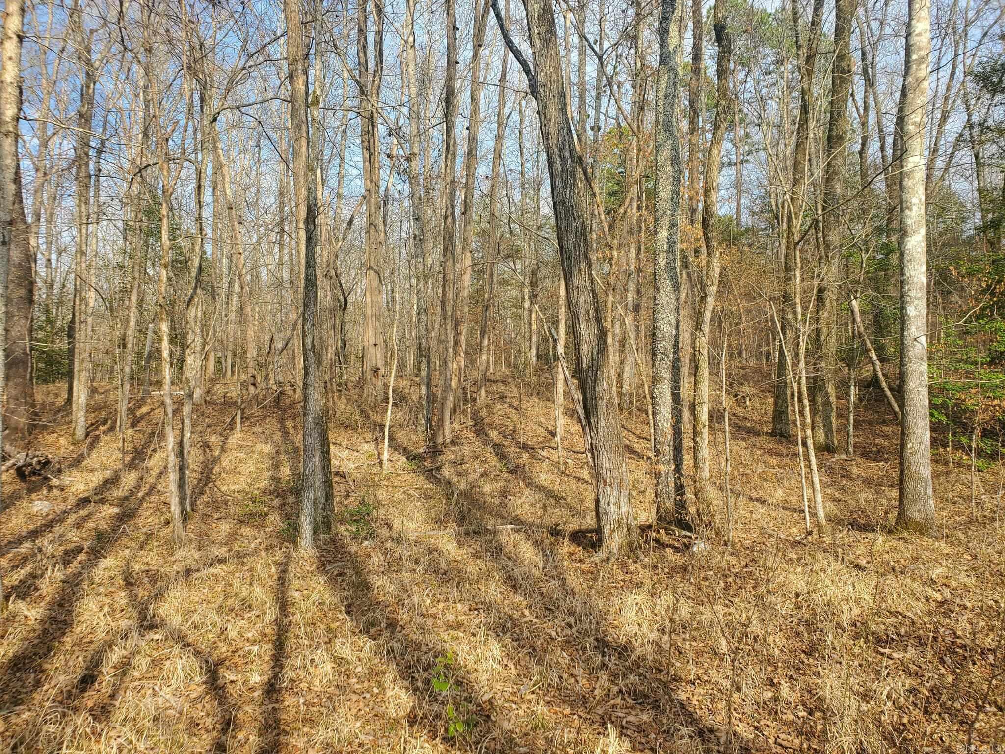 Tbd Kates Creek Road Property Photo 3