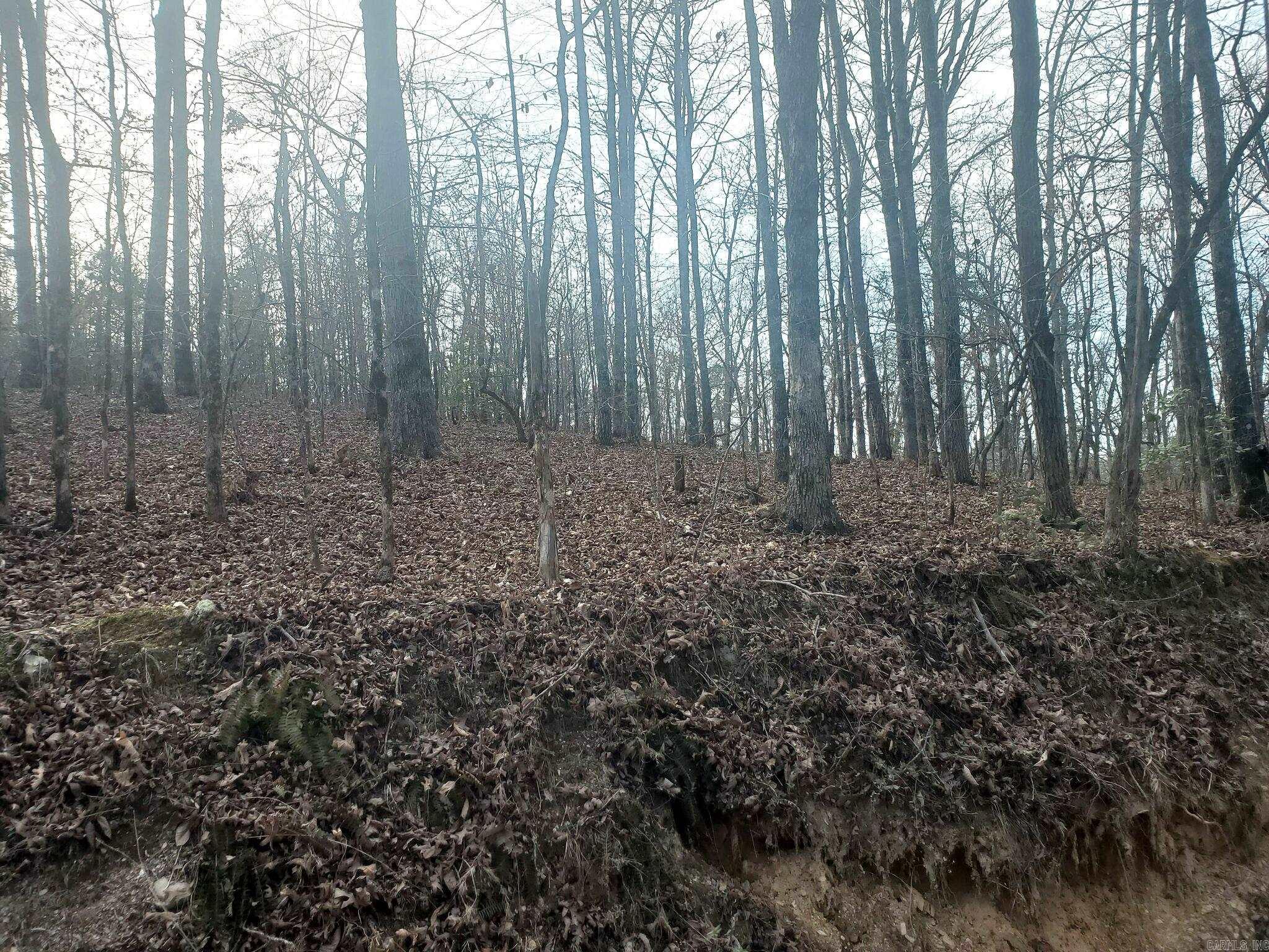 Tbd Kates Creek Road Property Photo 4