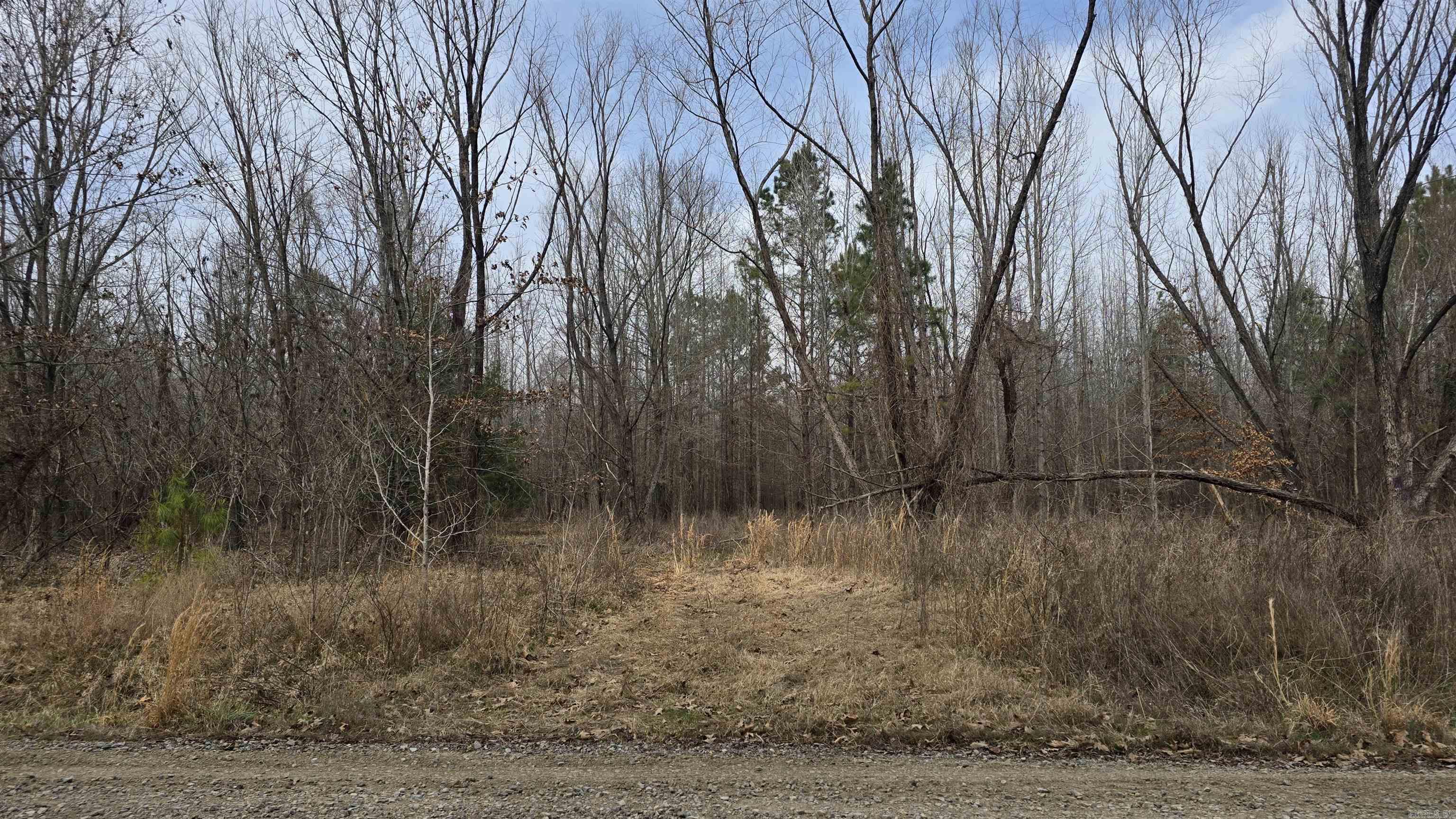 000 Williams Road Property Photo 1