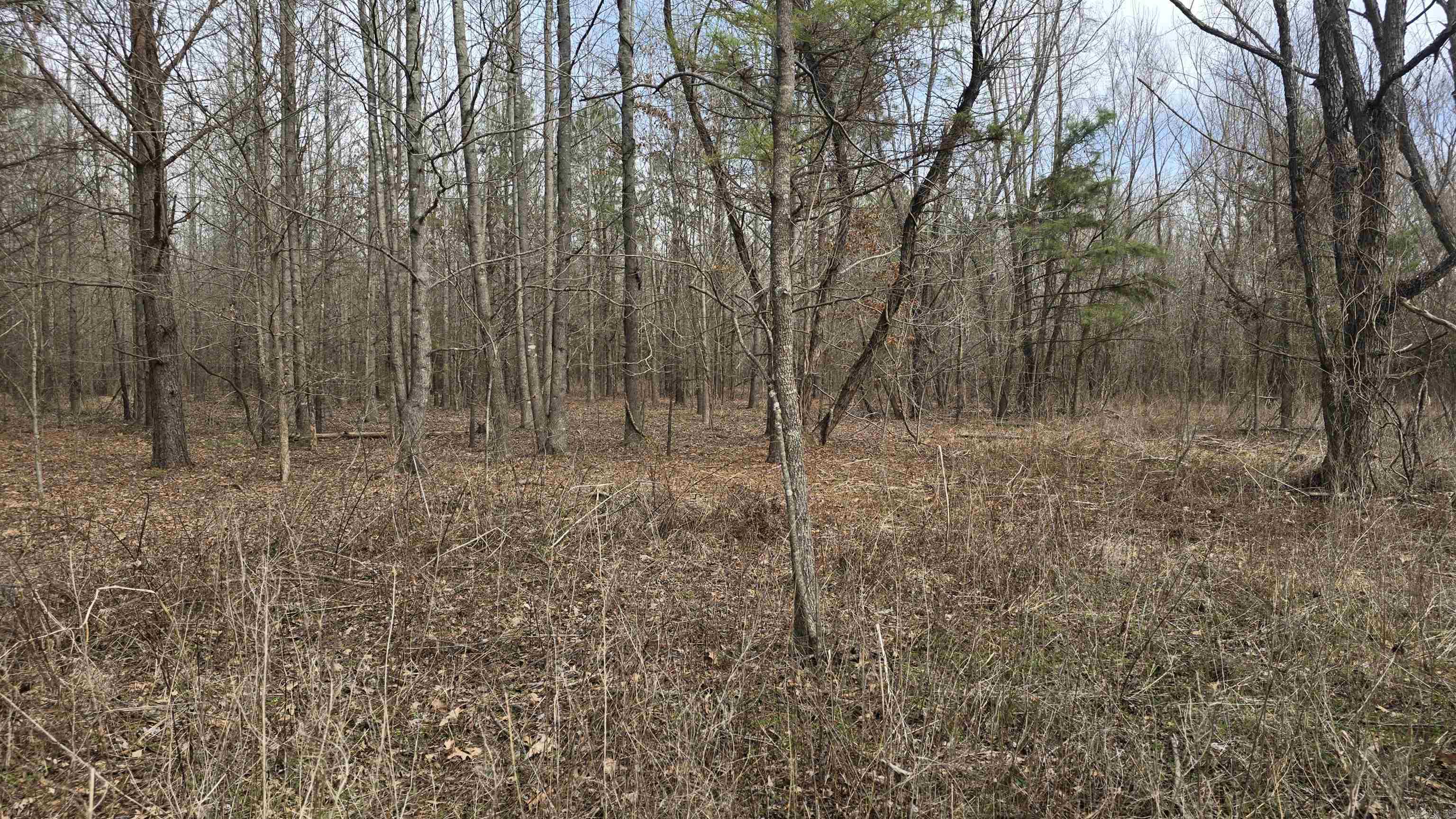 000 Williams Road Property Photo 10