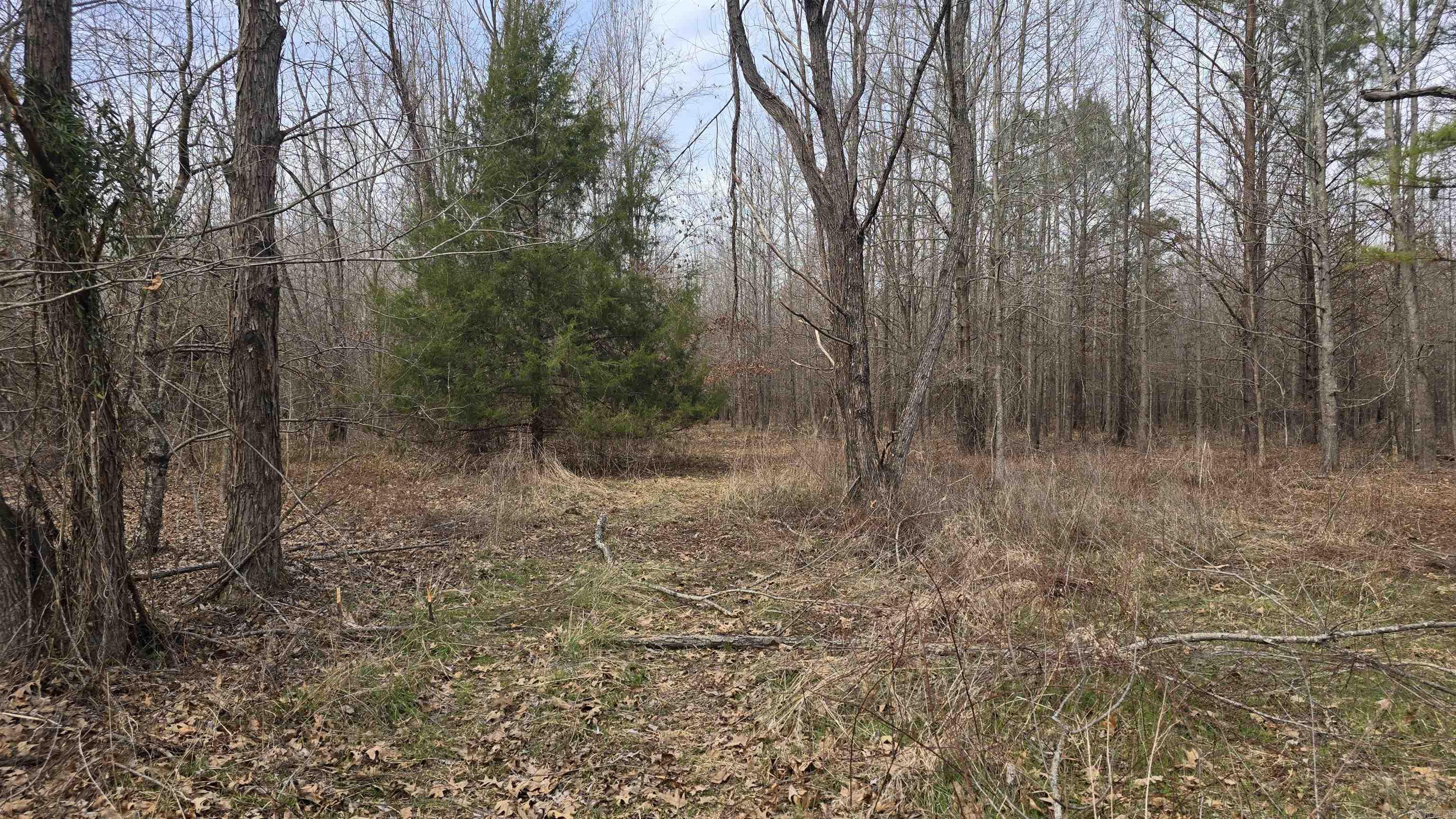 000 Williams Road Property Photo 11