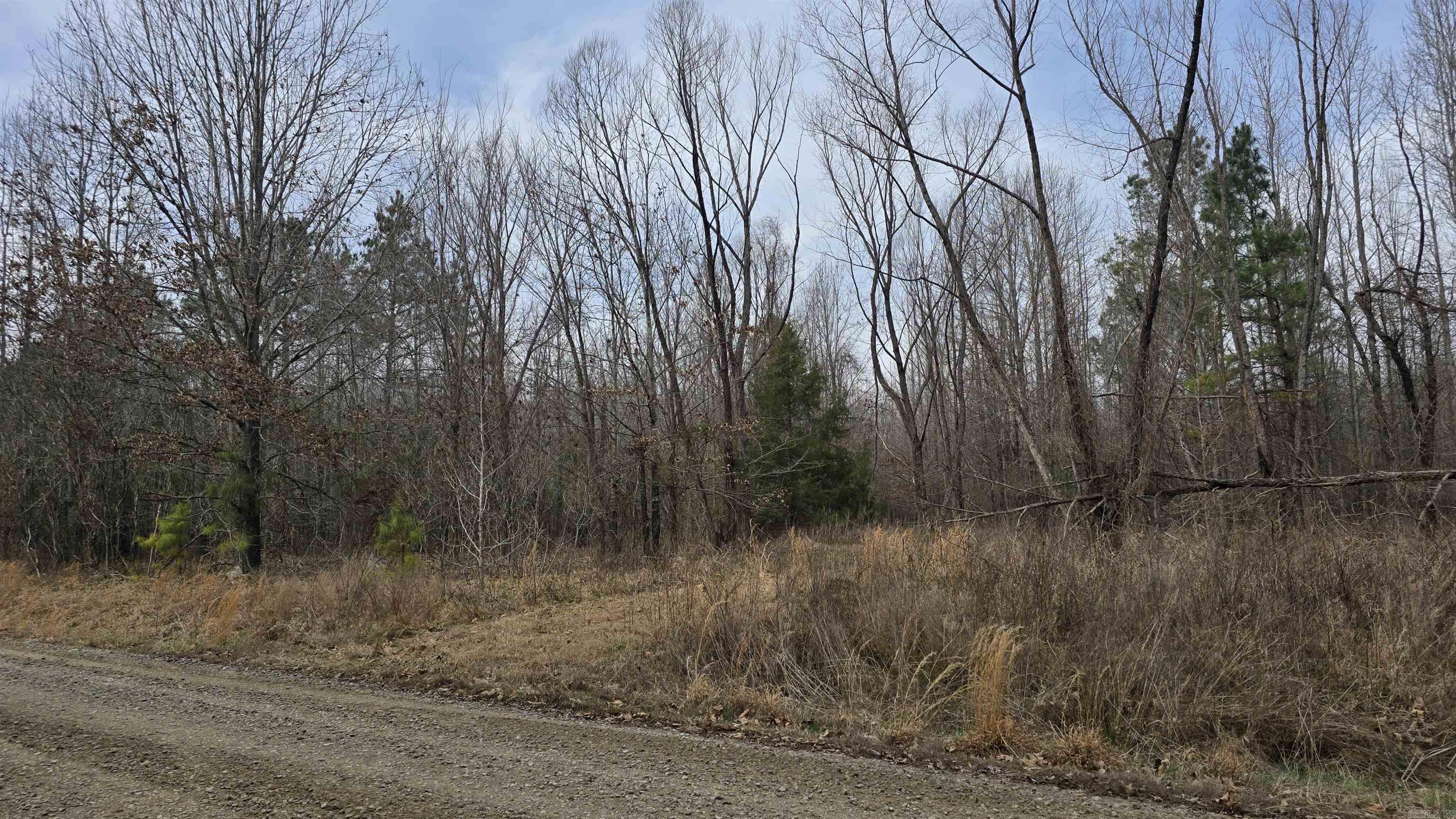 000 Williams Road Property Photo 13