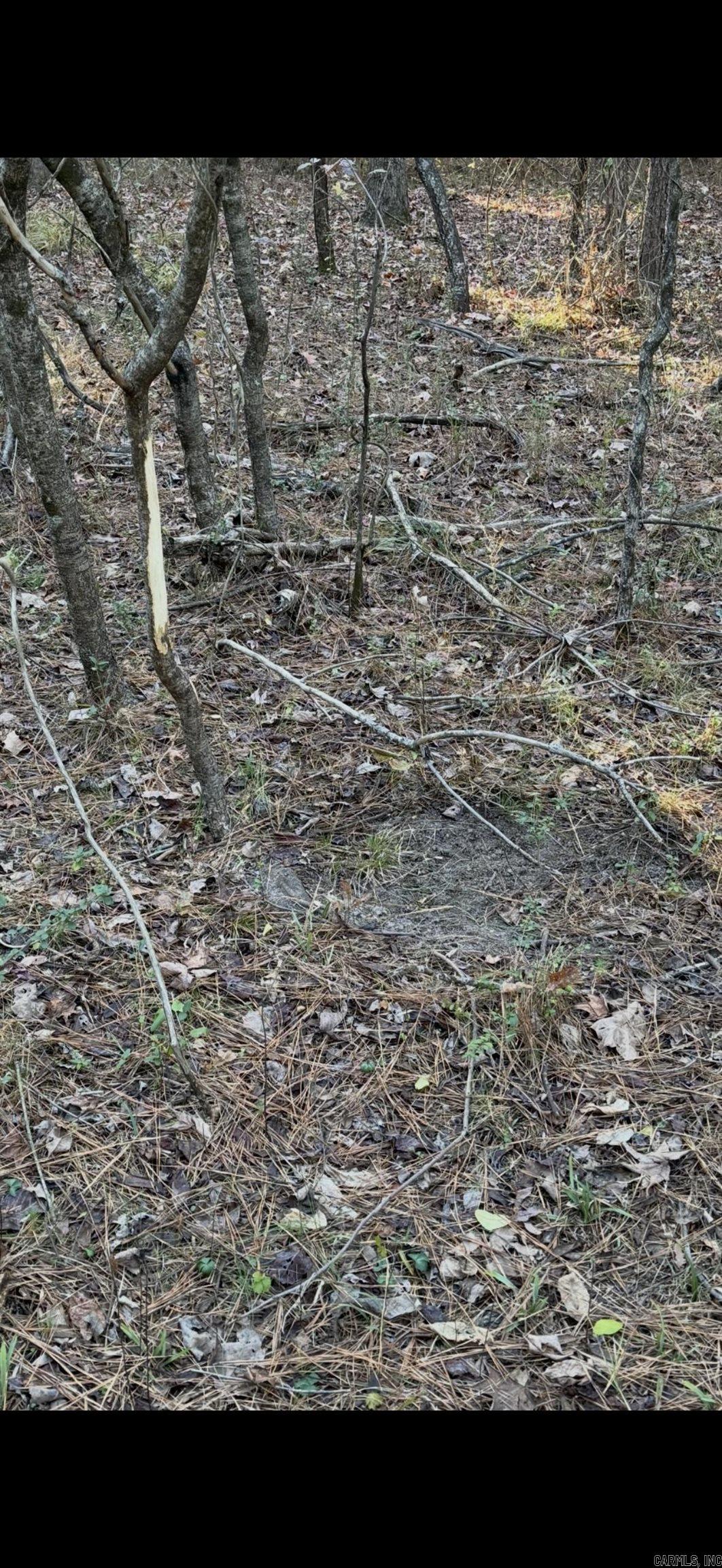 000 Williams Road Property Photo 18