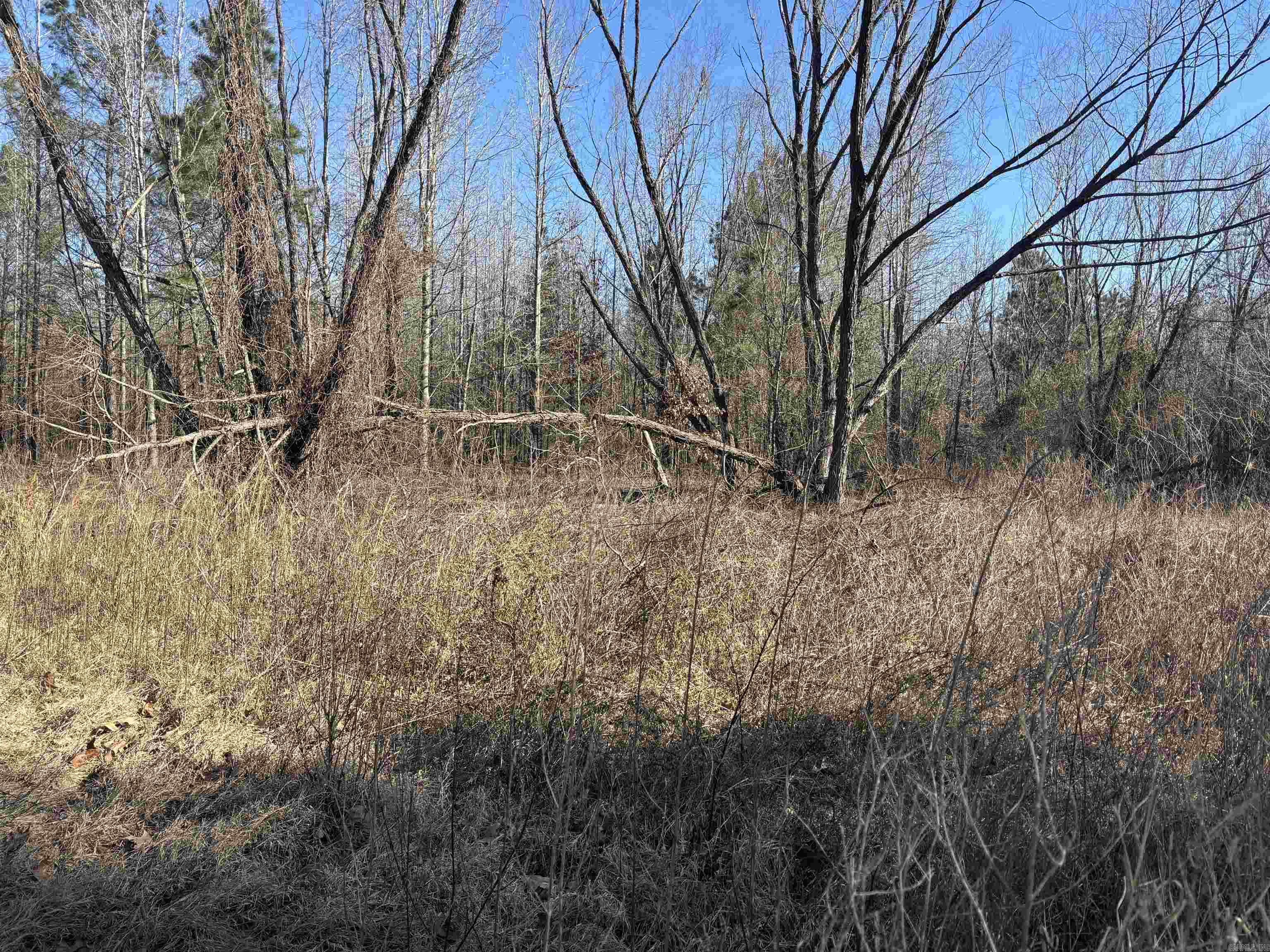 000 Williams Road Property Photo 21