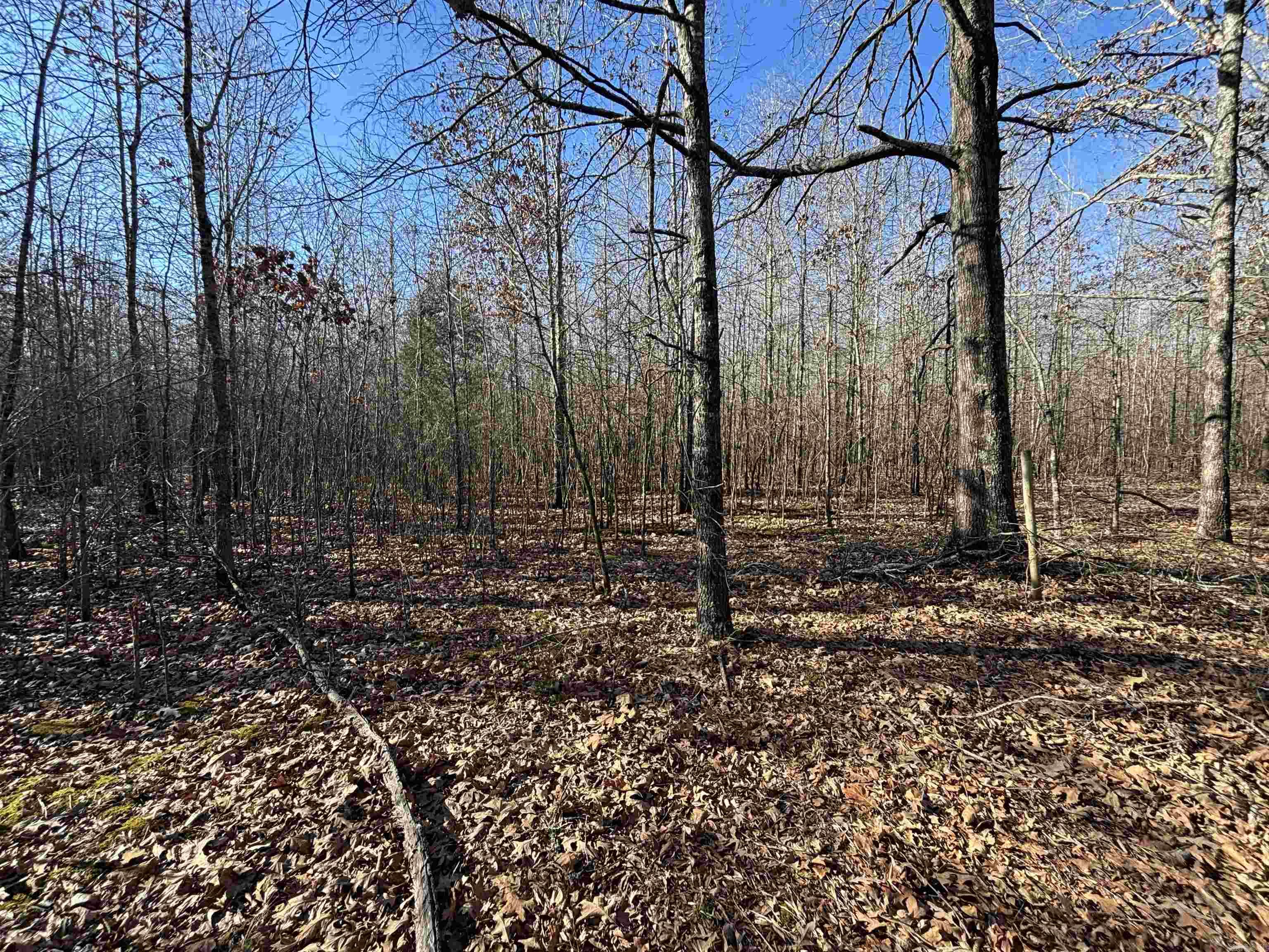 000 Williams Road Property Photo 24